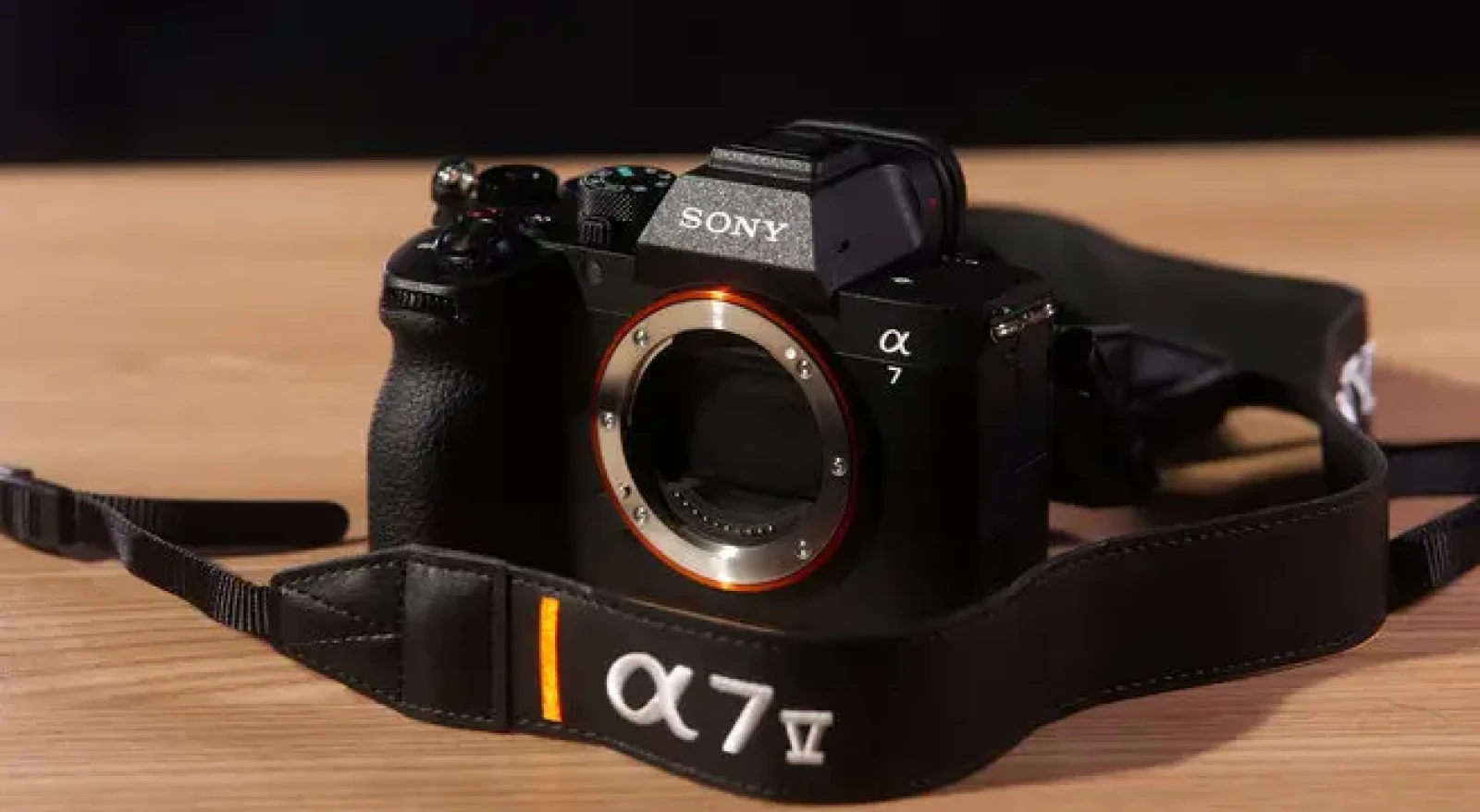 Sony Alpha 7 V - Photo 1 sur 1