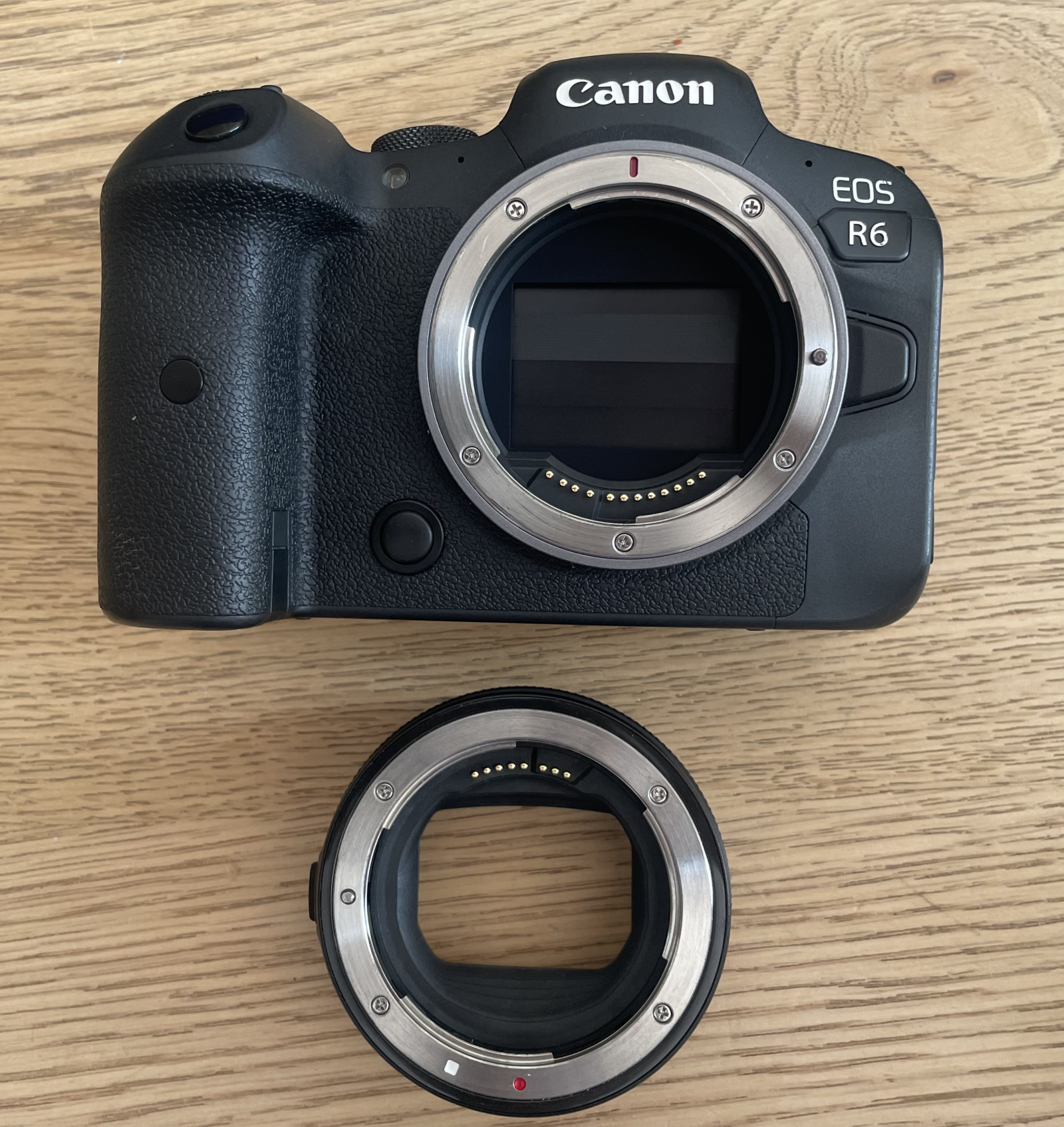 Canon R6 - Photo 3 sur 5