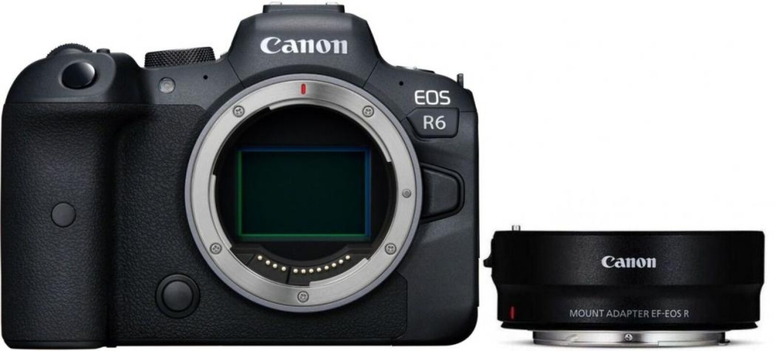Canon R6 - Photo 1 sur 5