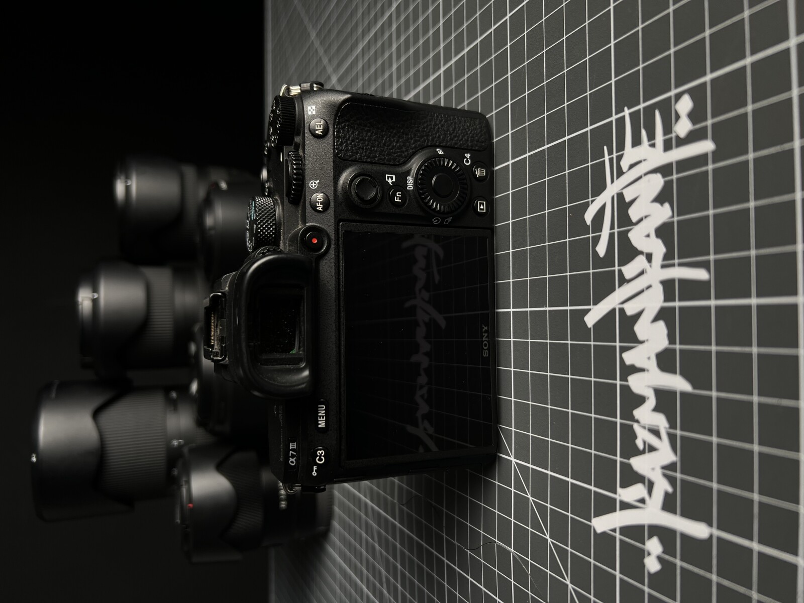 Sony Alpha 7 III (A73) - Photo 2 sur 2