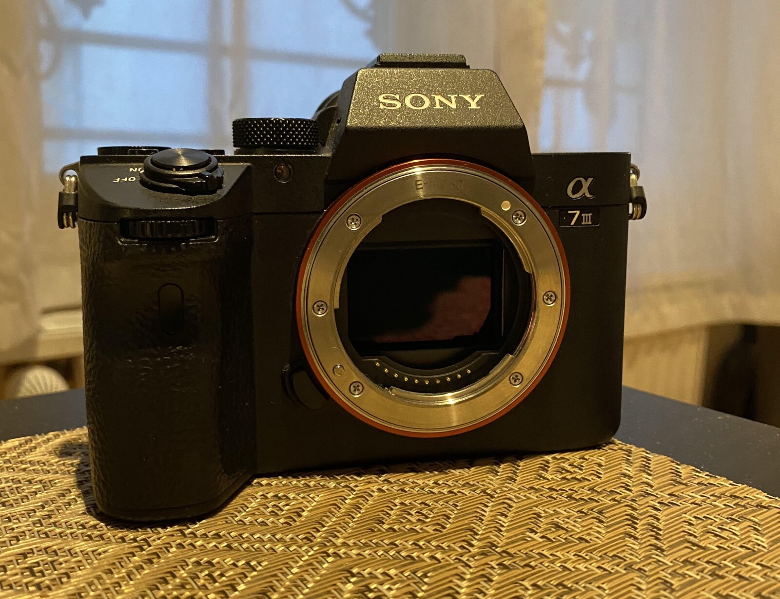 Sony Alpha 7 III (A73) - Photo 1 sur 5