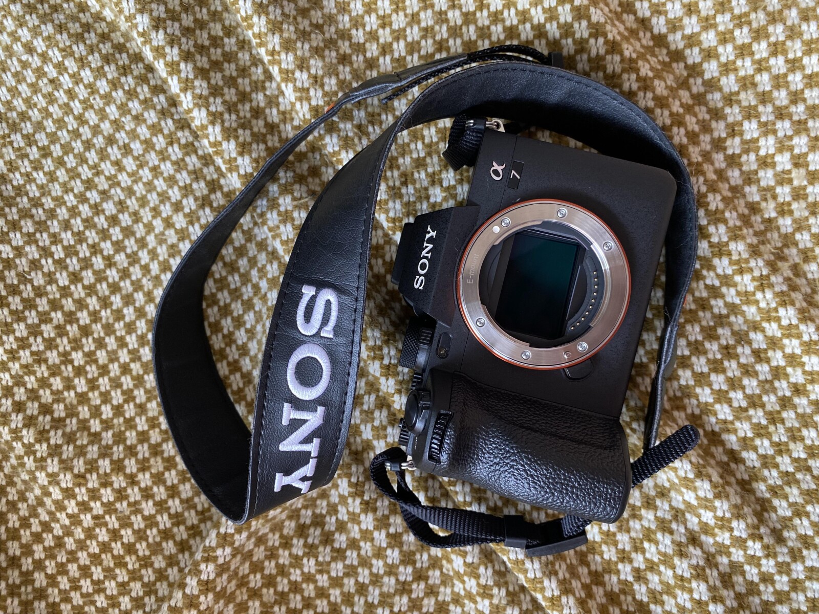 Sony Alpha 7 IV (A74) - Photo 1 sur 4