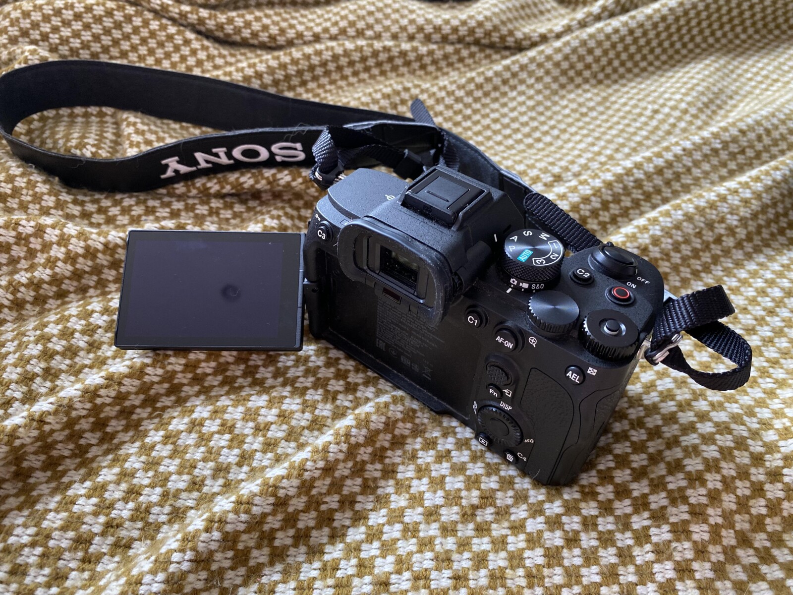 Sony Alpha 7 IV (A74) - Photo 3 sur 4