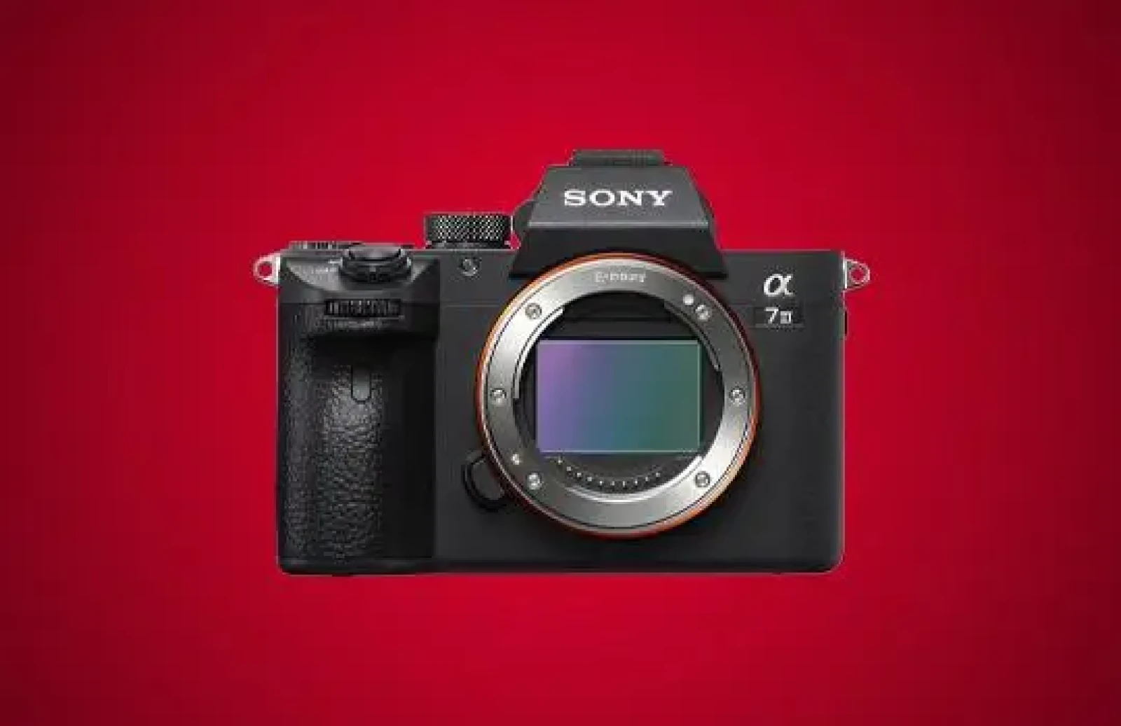 Sony Alpha 7 III (A73) - Photo 1 sur 1