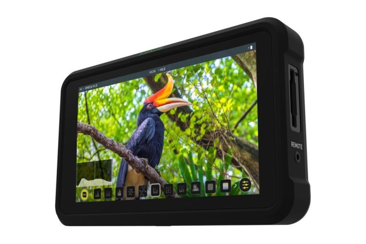 Location Atomos Shinobi - Lightyshare