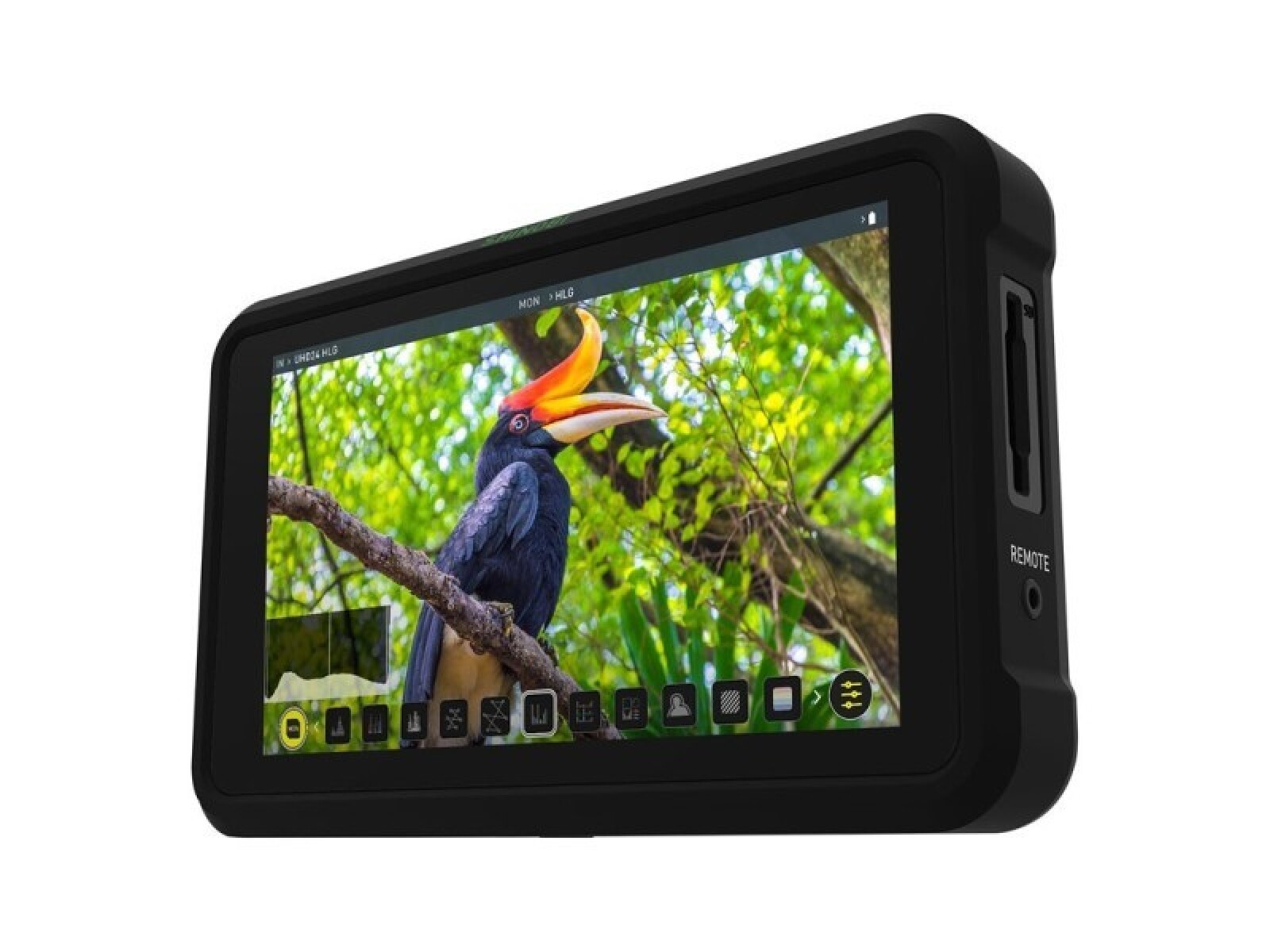 Atomos Shinobi - Photo 1 sur 1