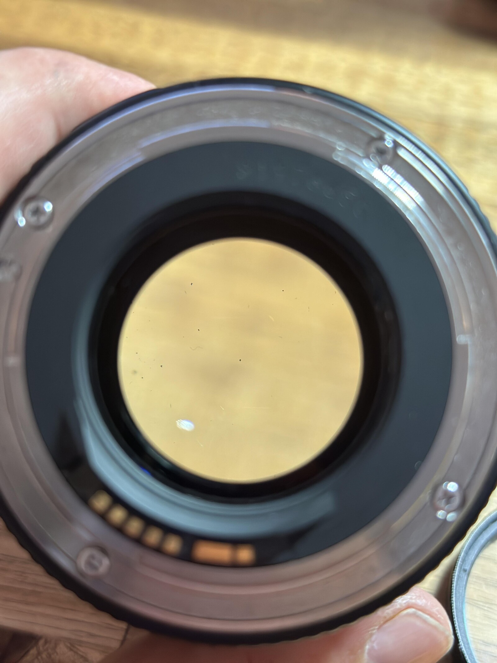 Canon EF 85mm f/1.8 - Photo 4 sur 4
