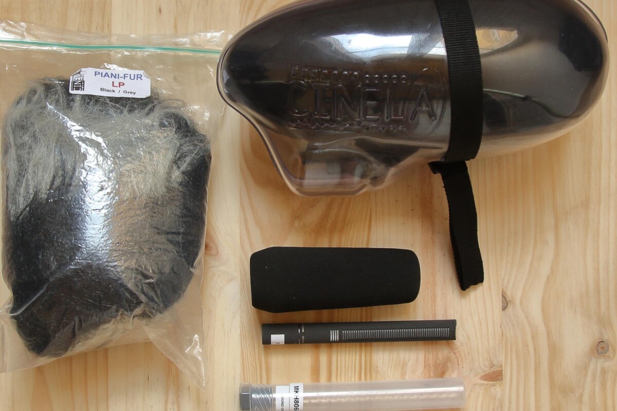 Location Sennheiser MKH 8060 - Lightyshare