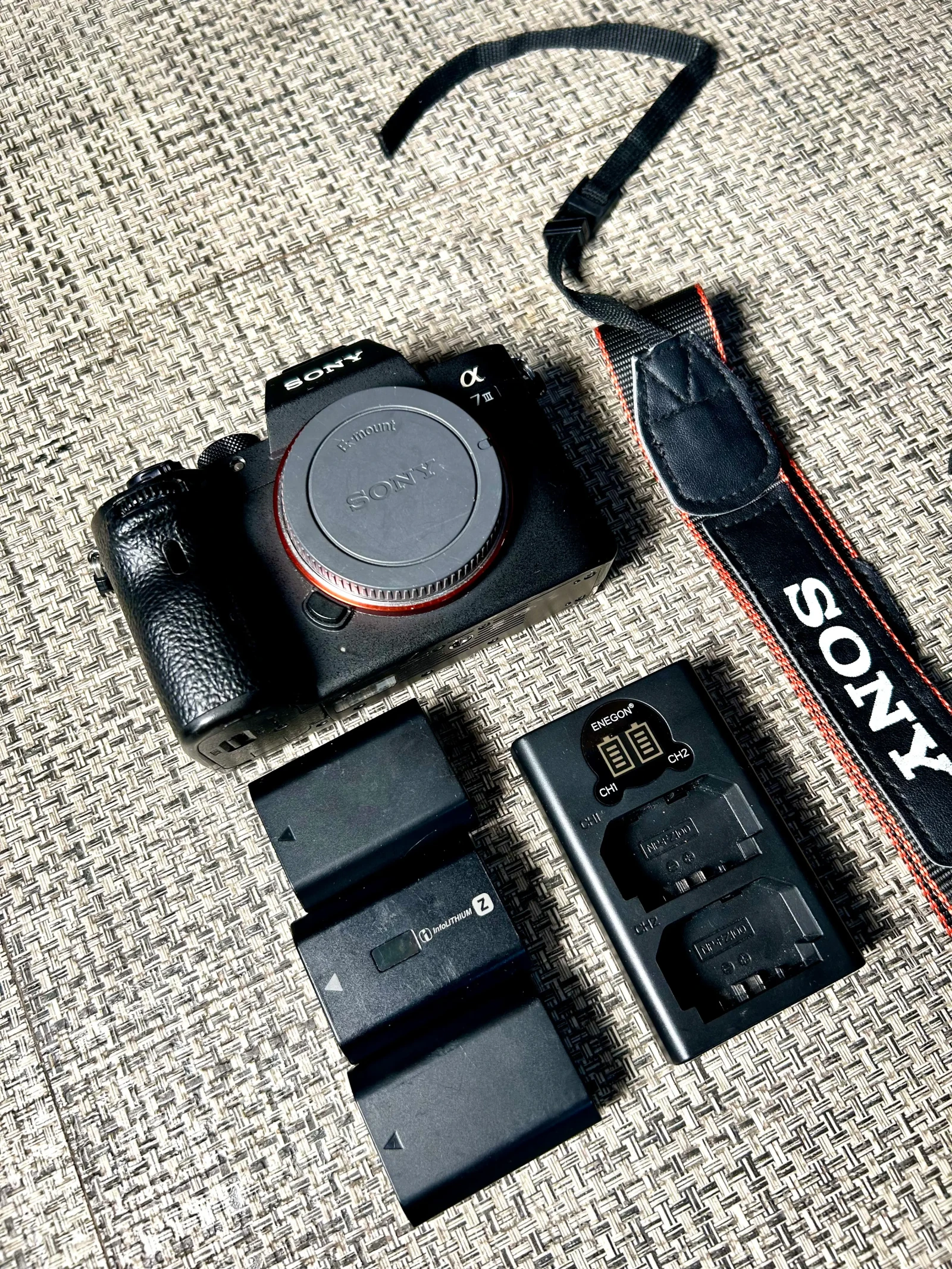 Sony Alpha 7 III (A73) - Photo 2 sur 3