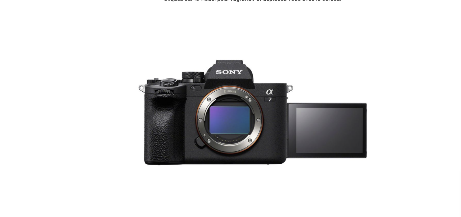 Sony A7 IV 4 - Photo 1 sur 1