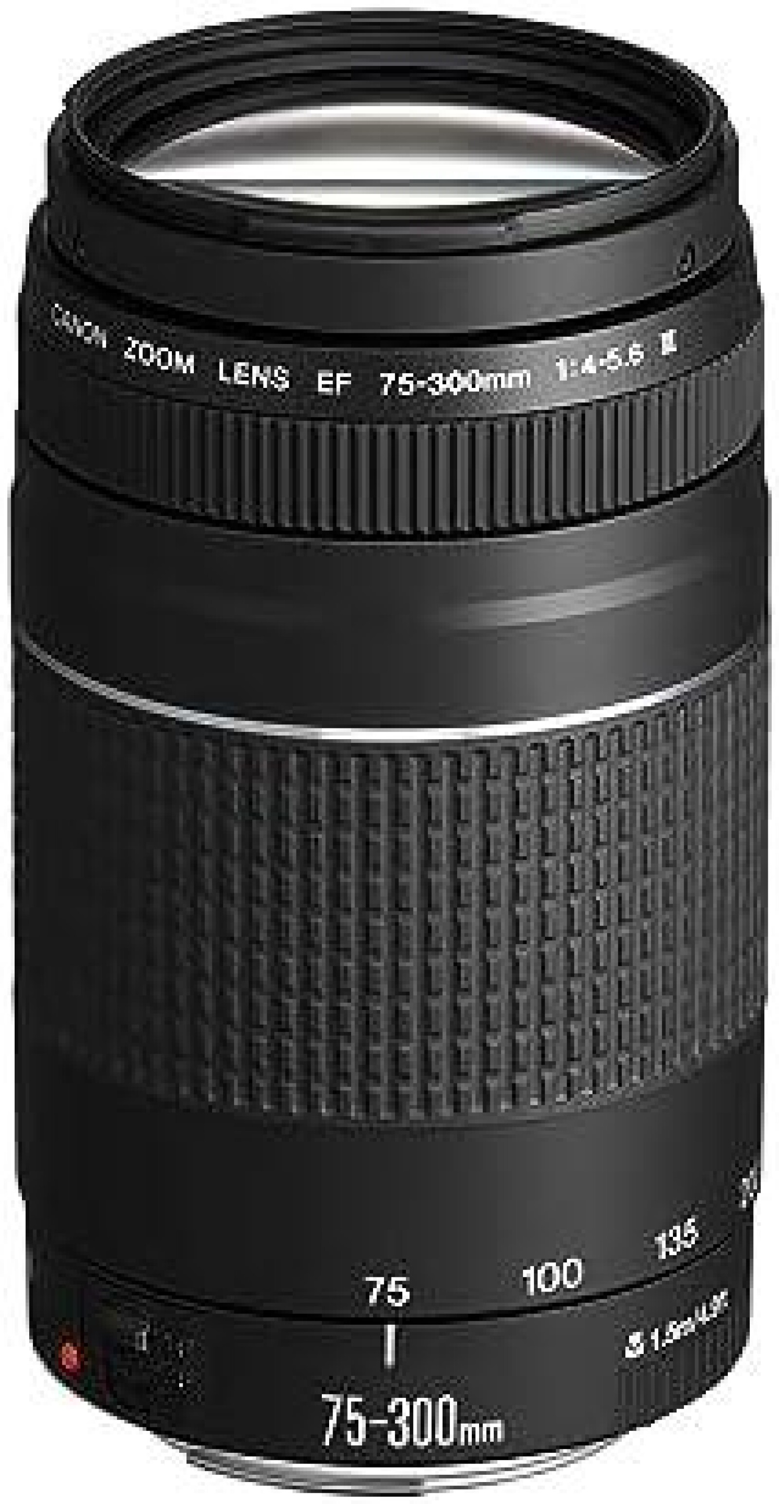Objectif Canon EF 75-300mm f/4-5.6 III - Photo 1 sur 3