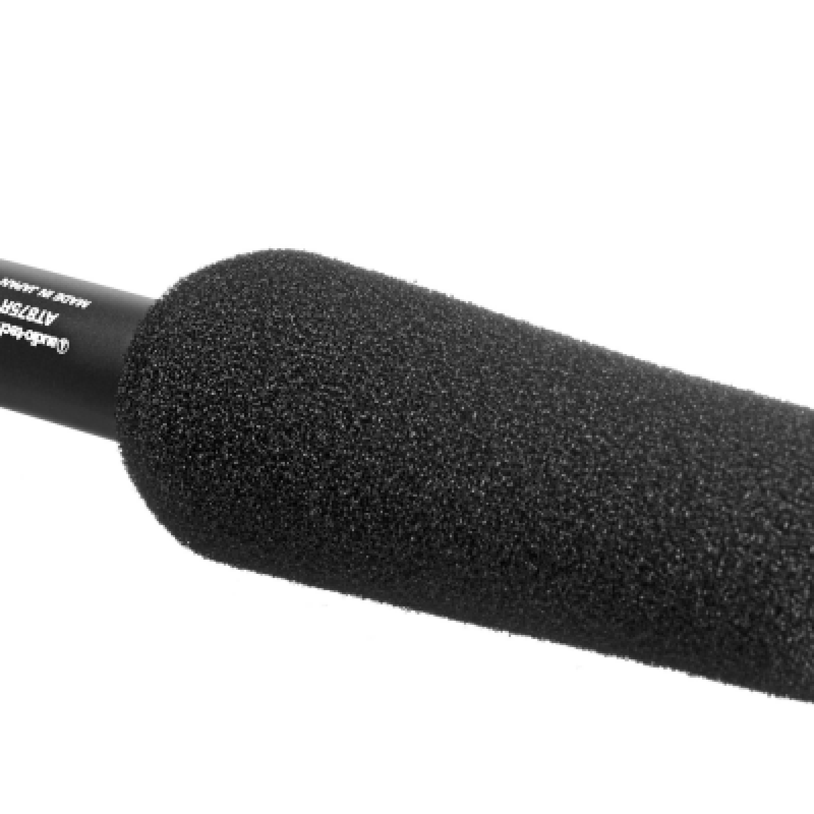 Audio Technic AT-875R Condenser Microphone - Photo 1 sur 2