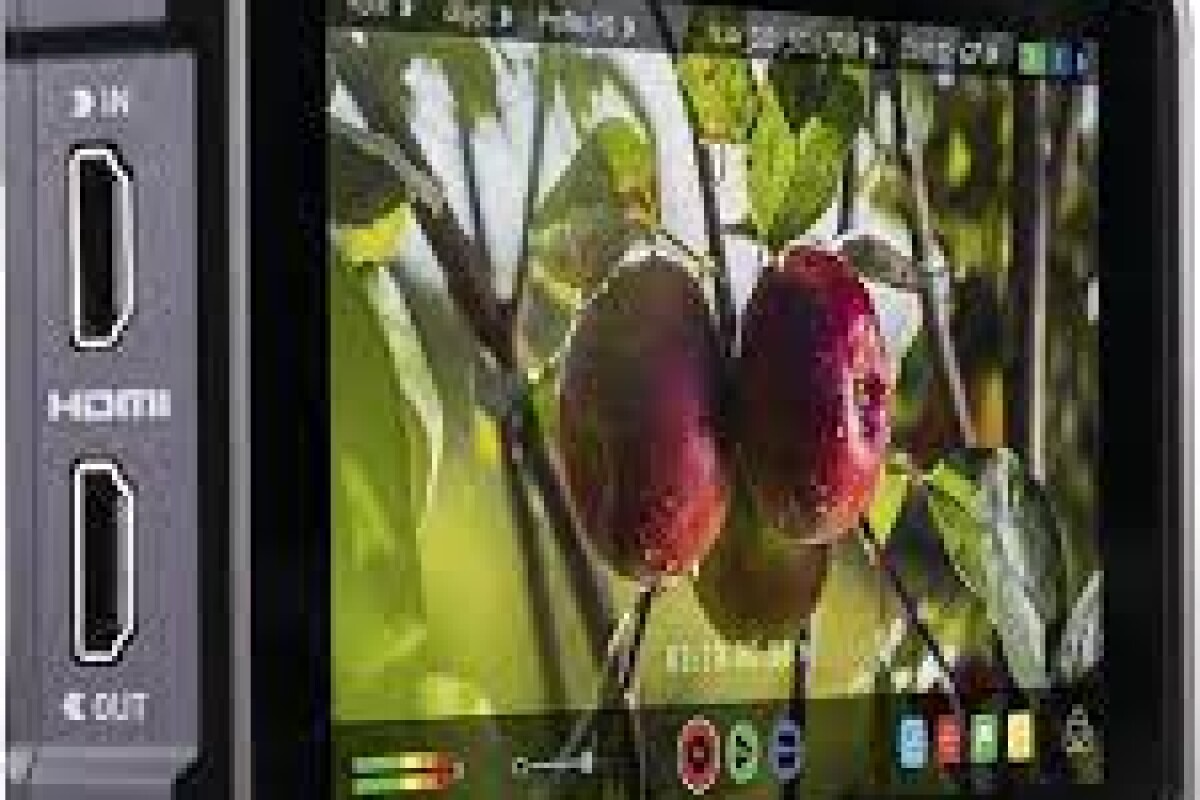Location Atomos Shinobi HDMI - Lightyshare