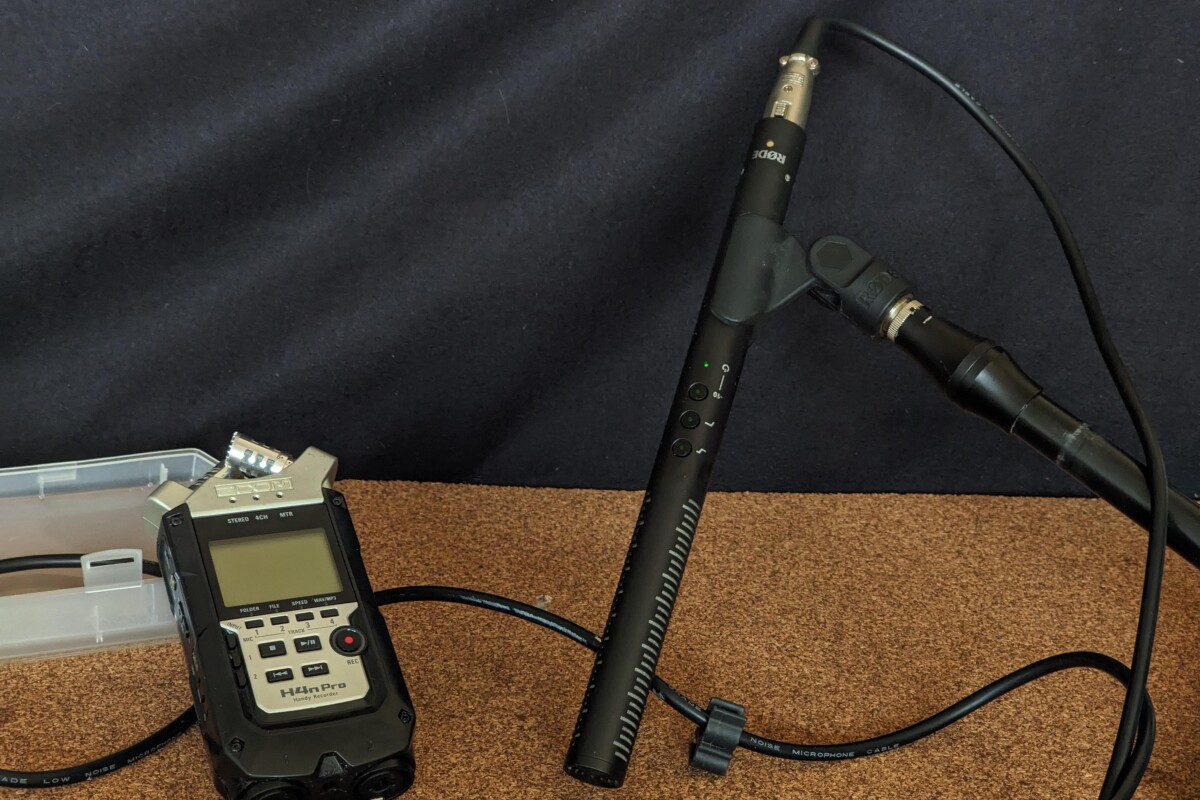 Location Zoom H4n Pro + Rode NTG4+  - Lightyshare