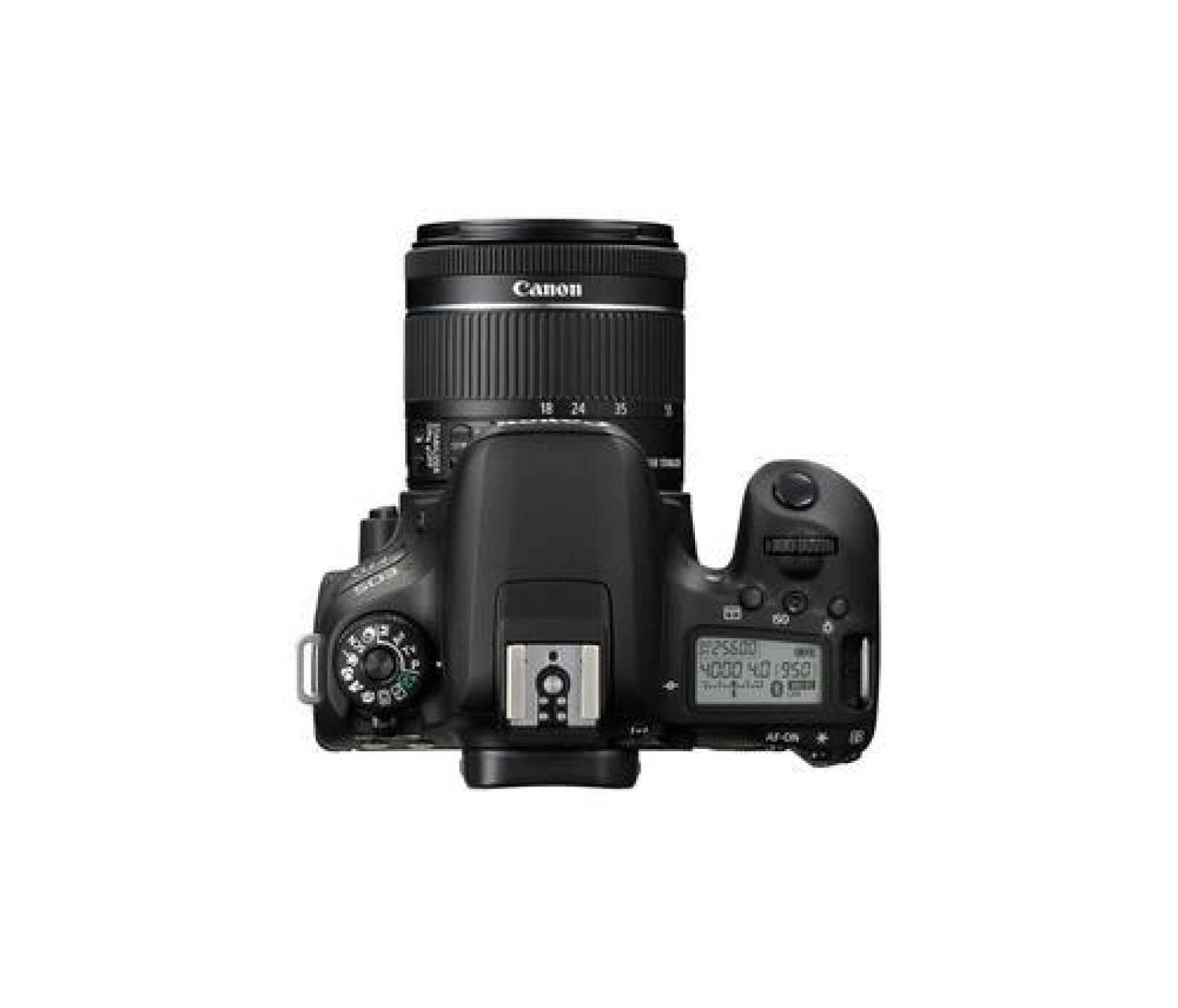 Canon EOS 77D - Photo 4 sur 4