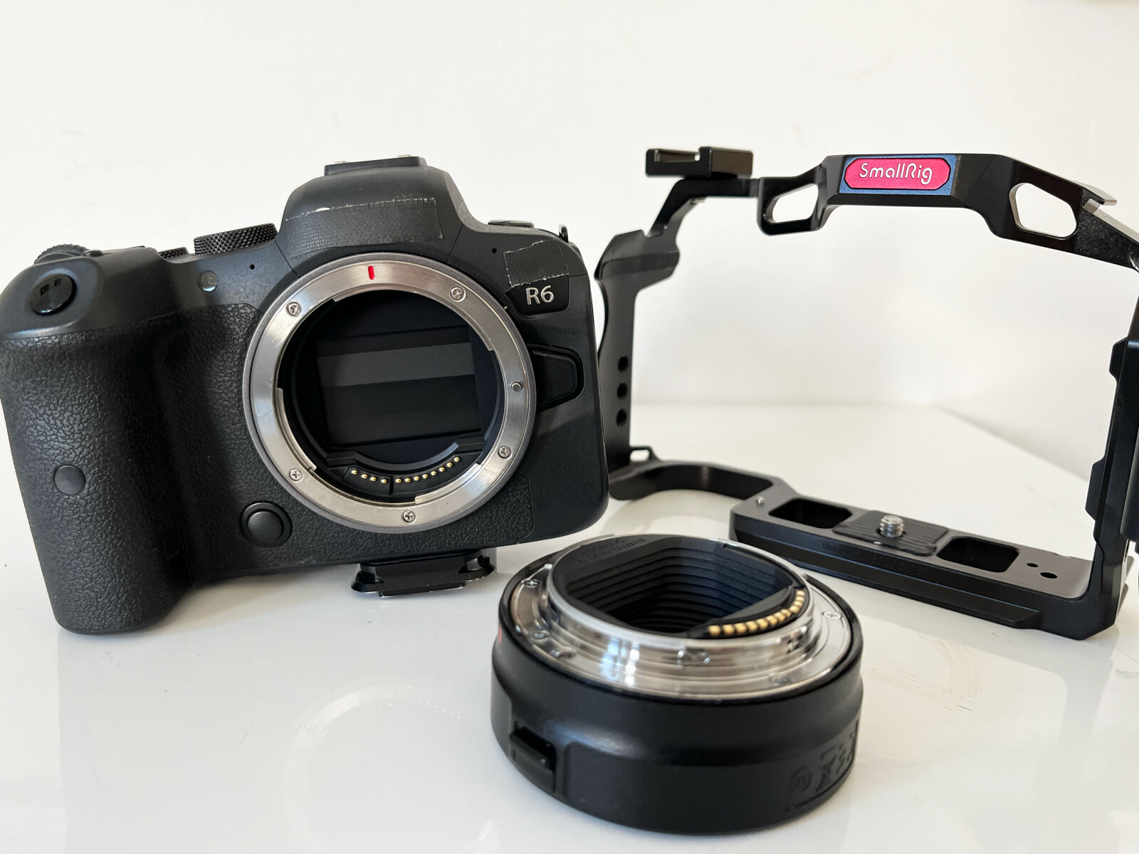 Canon R6 - Photo 1 sur 1