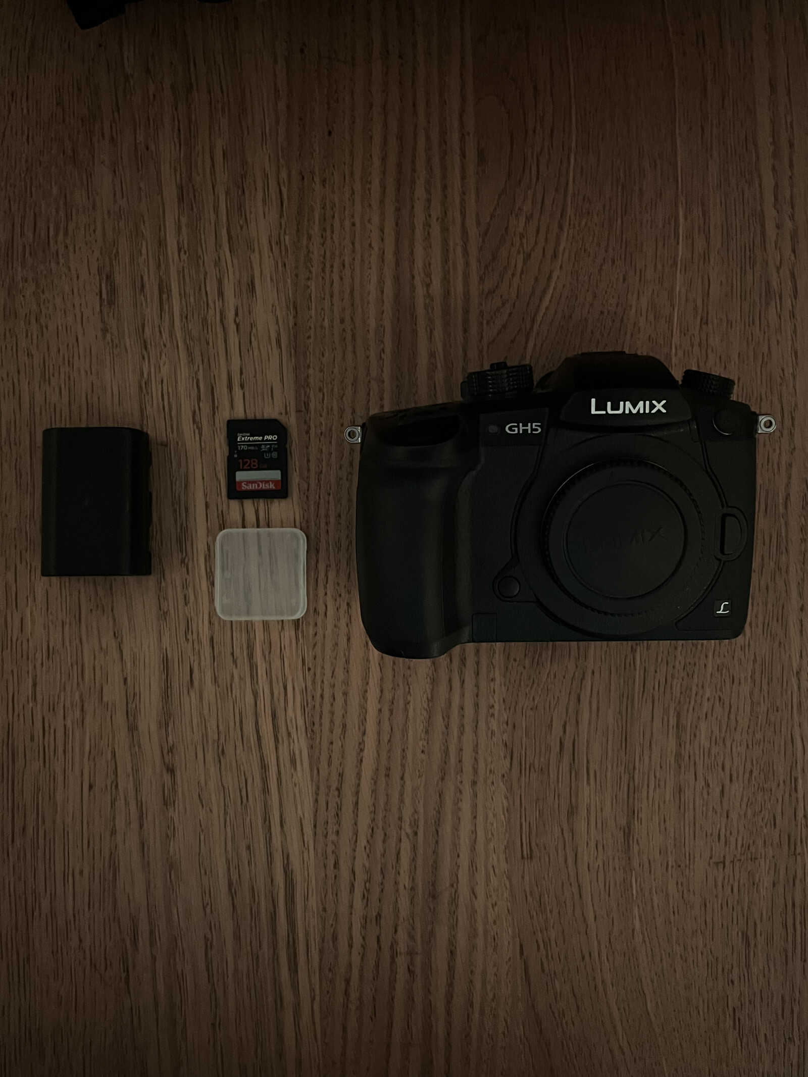 Panasonic LUMIX GH5 - Photo 1 sur 5