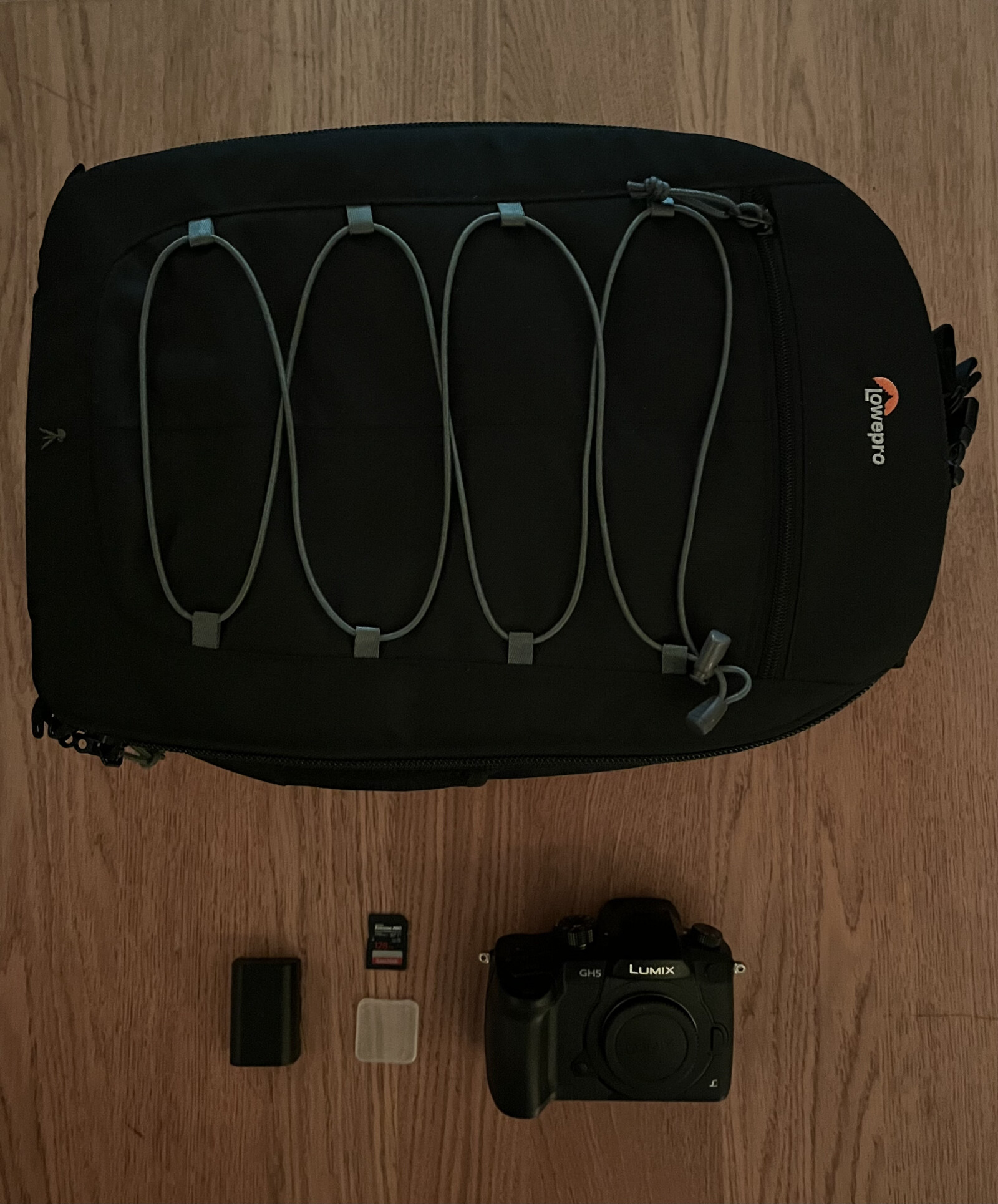 Panasonic LUMIX GH5 - Photo 5 sur 5