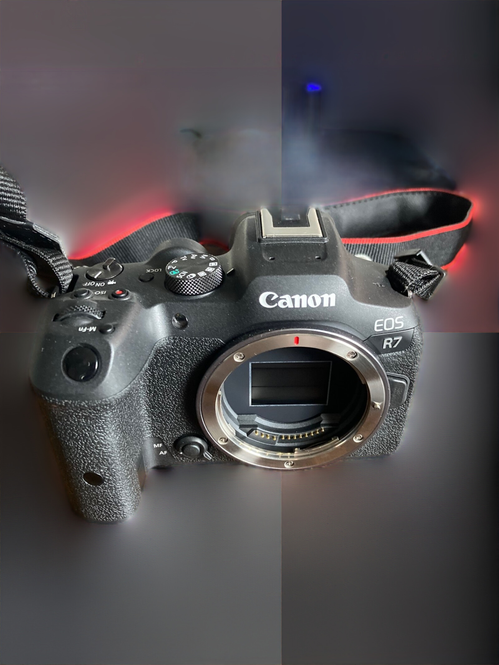 Canon eos r7 + objectif RF 24-105mm - Photo 2 sur 2