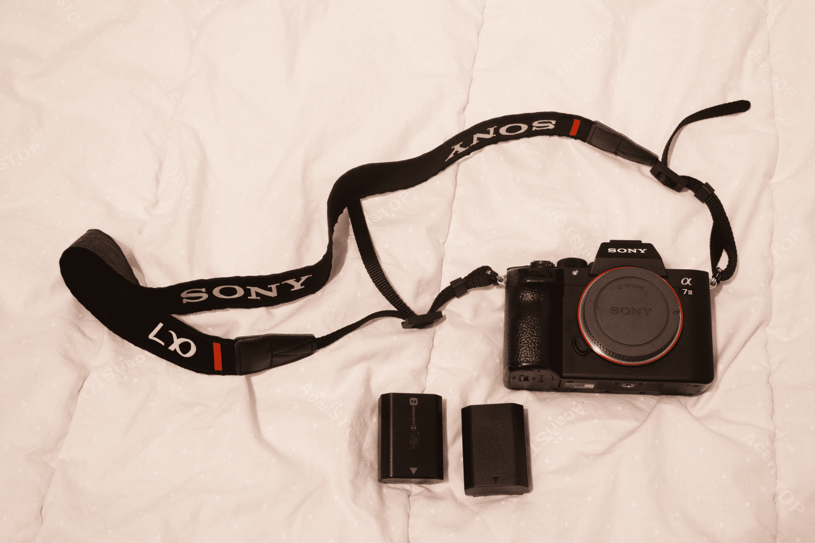 Sony A7III - Photo 1 sur 3