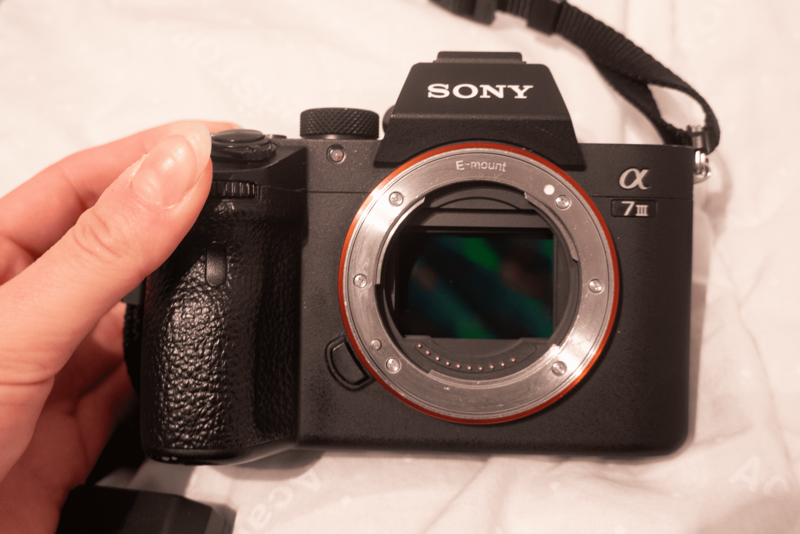 Sony A7III - Photo 2 sur 3