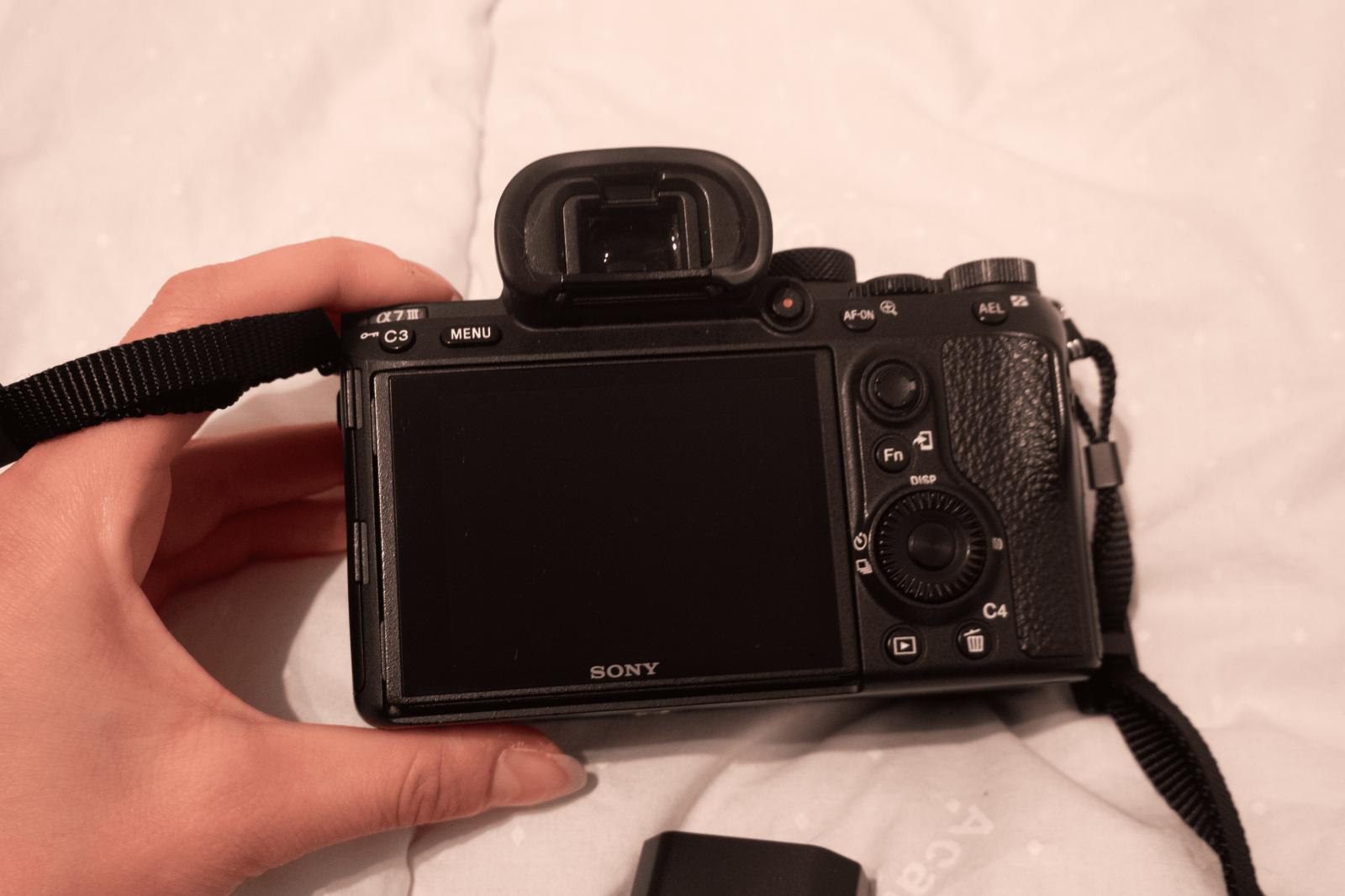 Sony A7III - Photo 3 sur 3