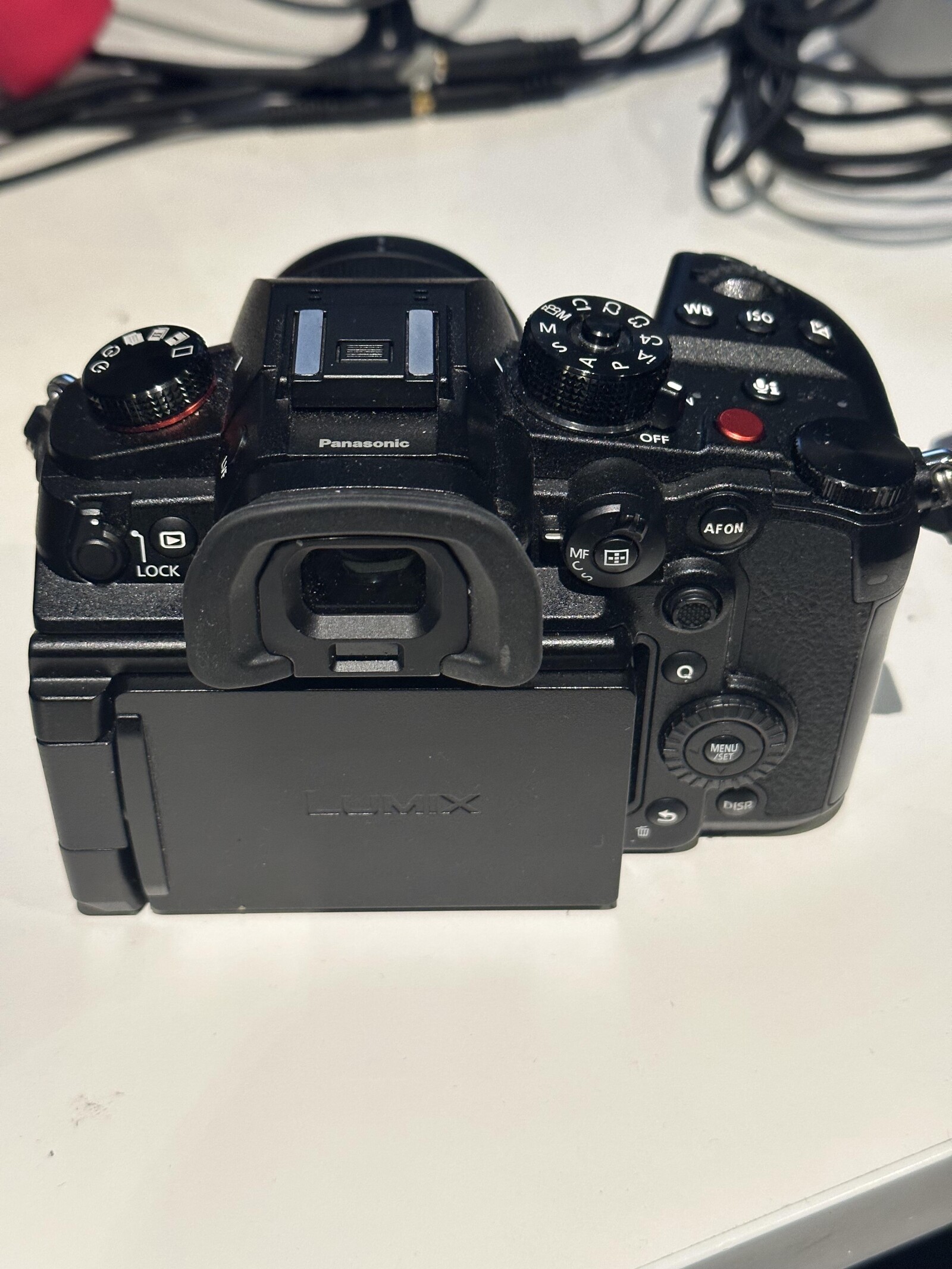 Panasonic LUMIX GH5S - Photo 3 sur 5