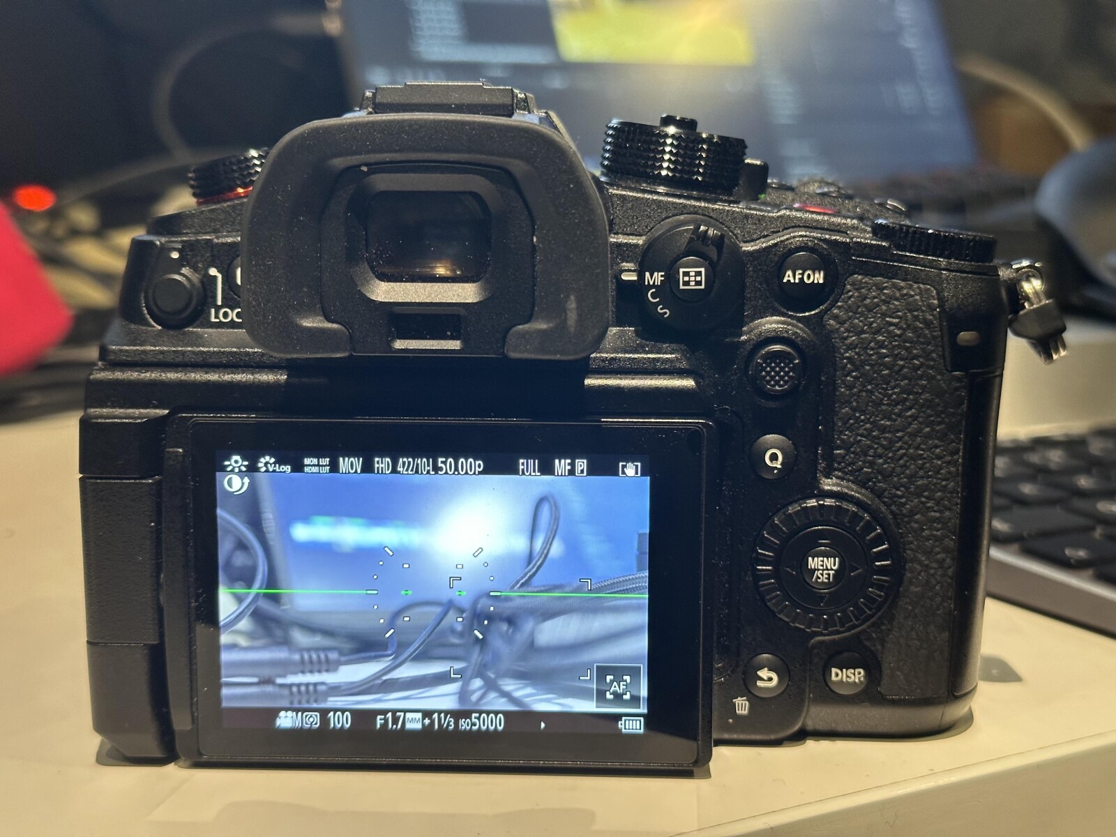 Panasonic LUMIX GH5S - Photo 5 sur 5