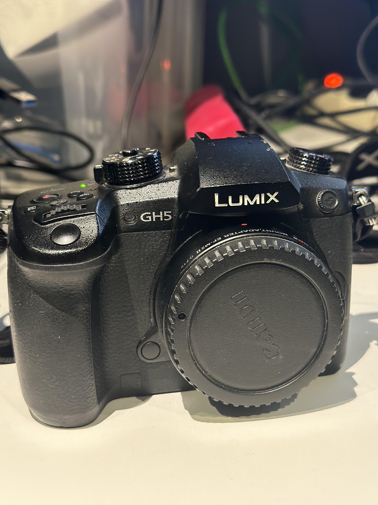 Panasonic LUMIX GH5 - Photo 2 sur 2