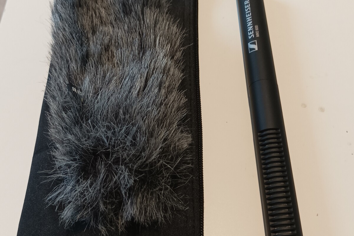 Location Sennheiser MKE 600 - Lightyshare