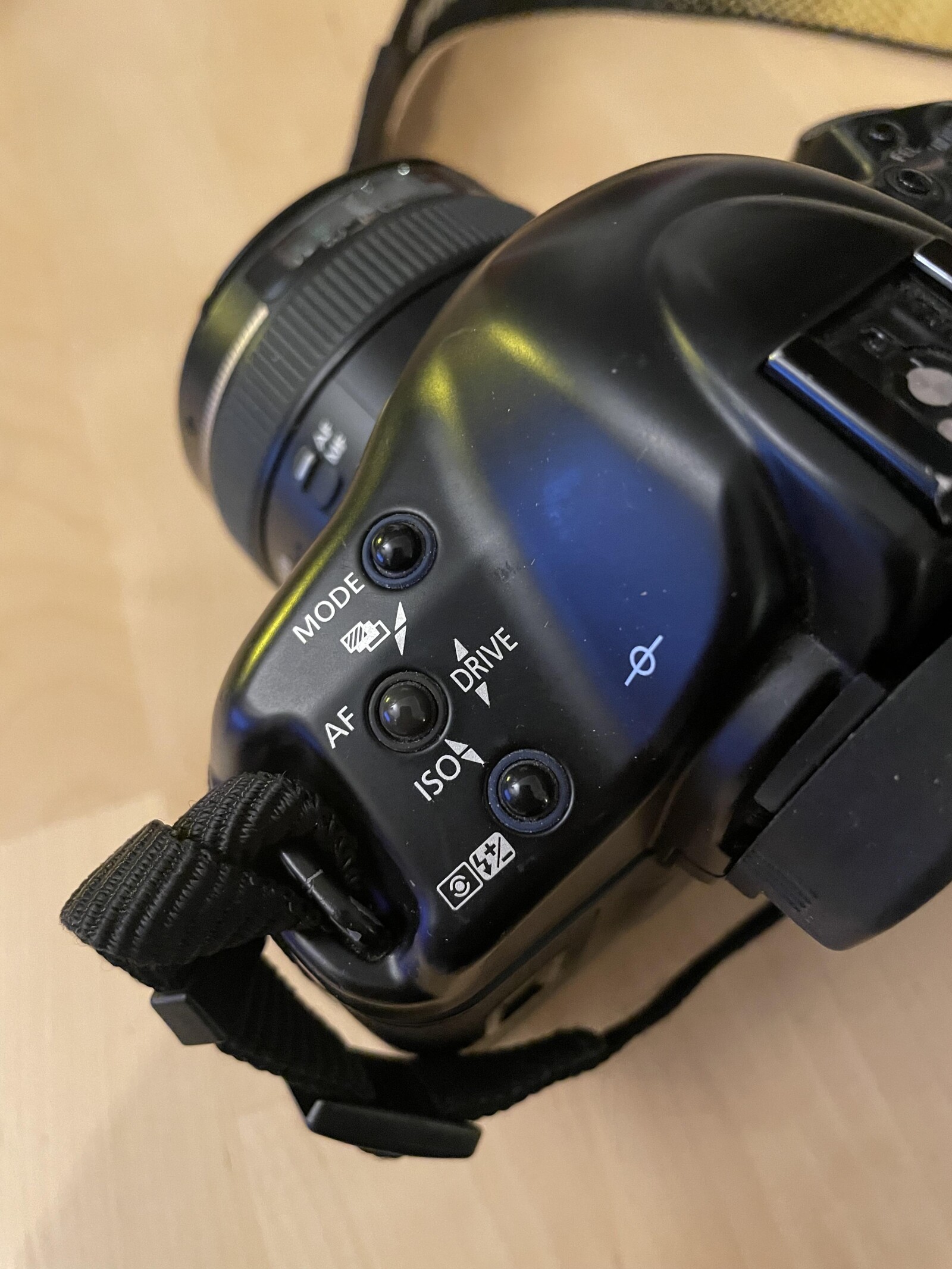 Canon EOS 1V - Argentique - Photo 3 sur 6