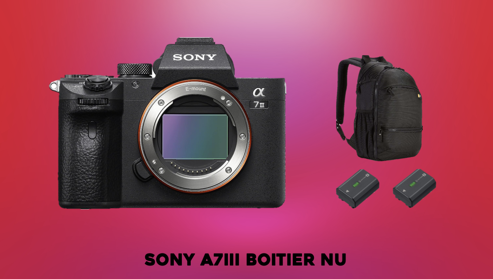 Sony Alpha 7 III (A73) - Photo 1 sur 1