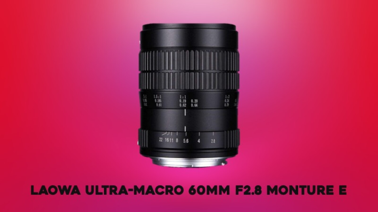 LAOWA 60mm f/2.8 2X Ultra-Macro Monture E - Photo 1 sur 1