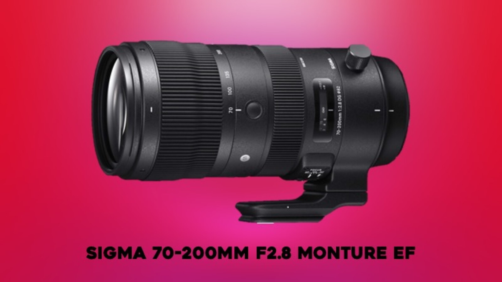 Sigma ART 70-200mm F2.8 DG OS HSM | Sports - Photo 1 sur 1