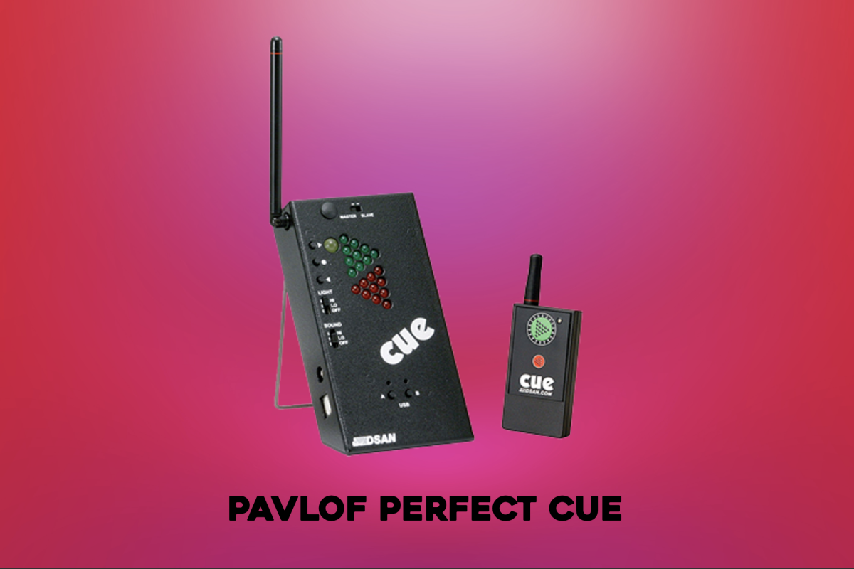 Location PAVLOF Perfect Cue Mini - Lightyshare