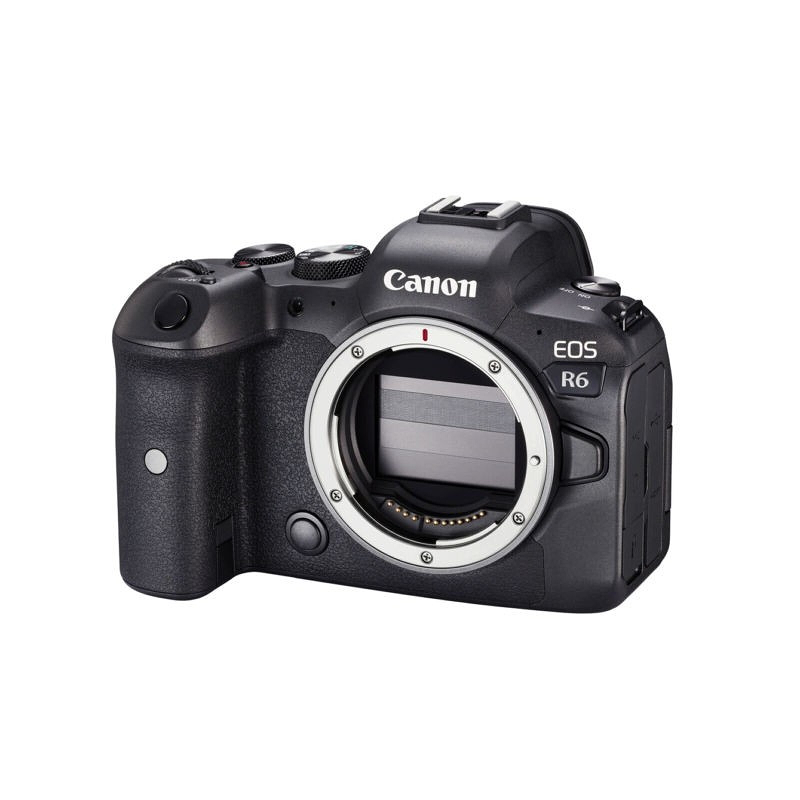 Canon R6 - Photo 3 sur 3