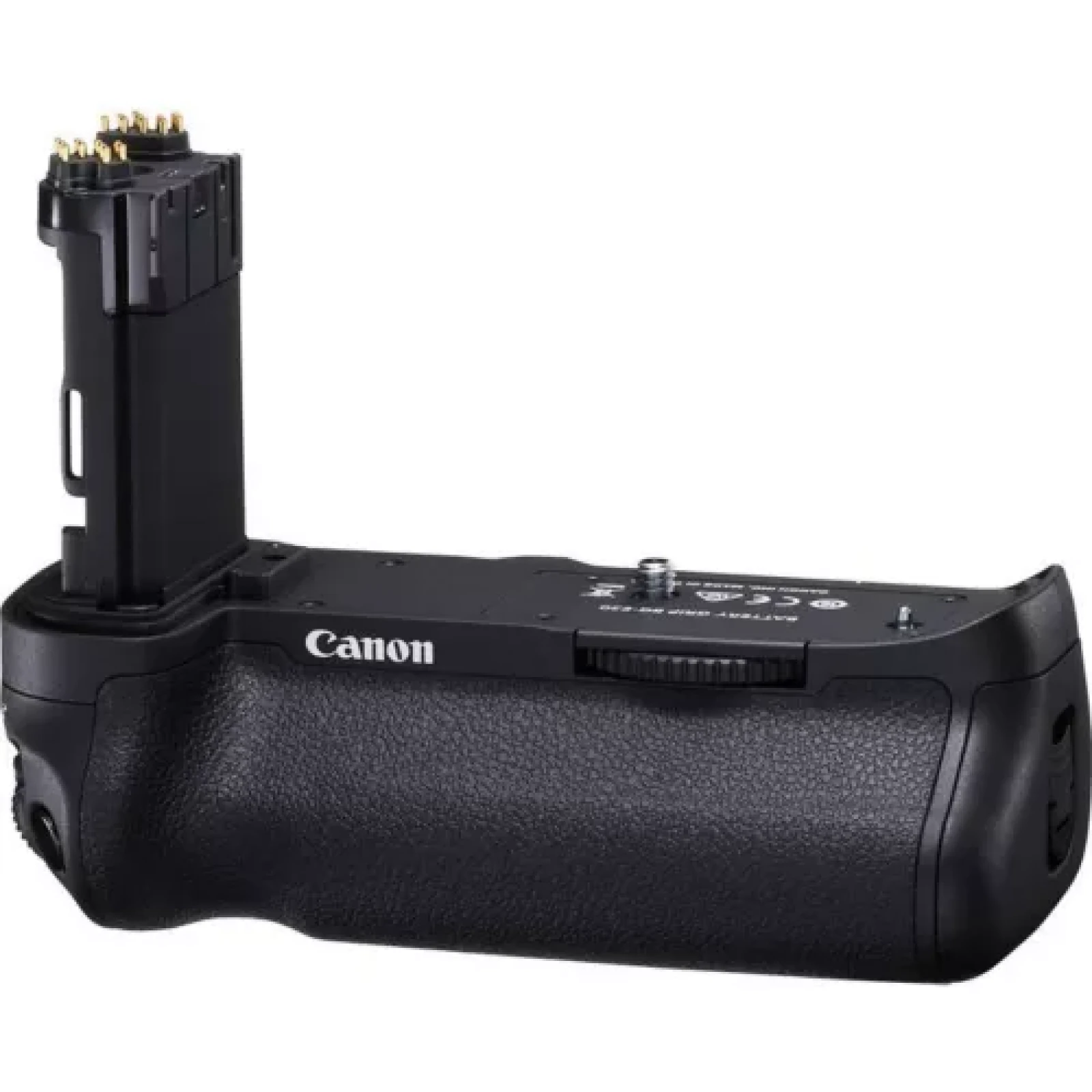 Canon 5D Mark IV - Photo 2 sur 3