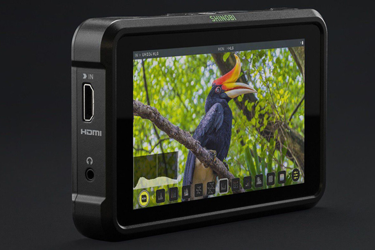Location Atomos Shinobi HDMI - Lightyshare