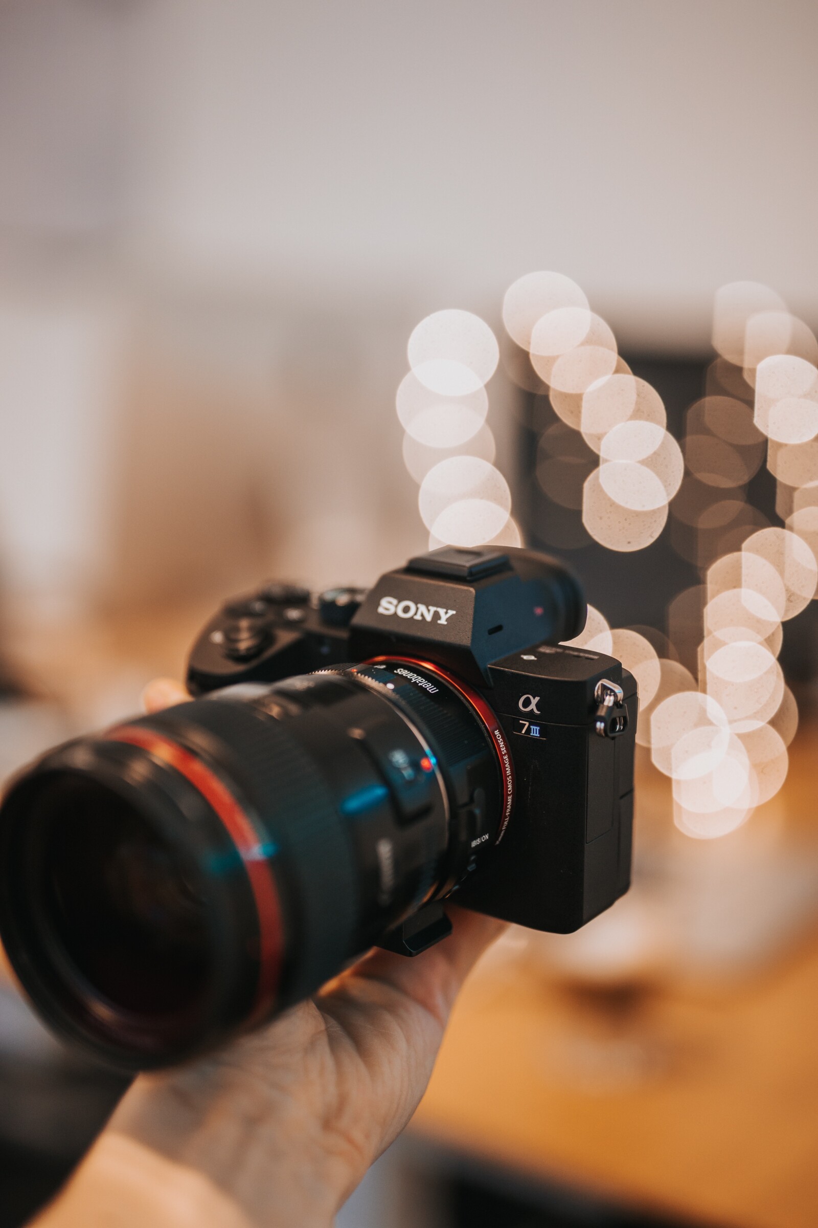 Sony Alpha 7 III (A73) - Photo 1 sur 2