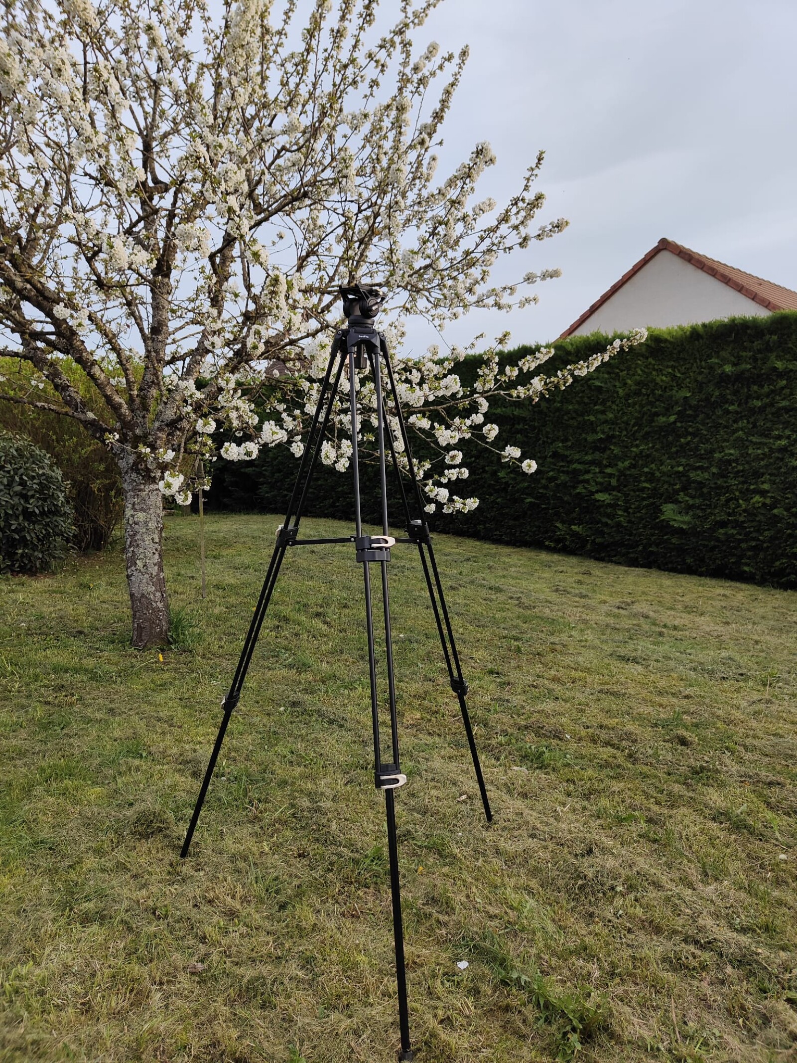 SmallRig AD-01 - Photo 2 sur 4
