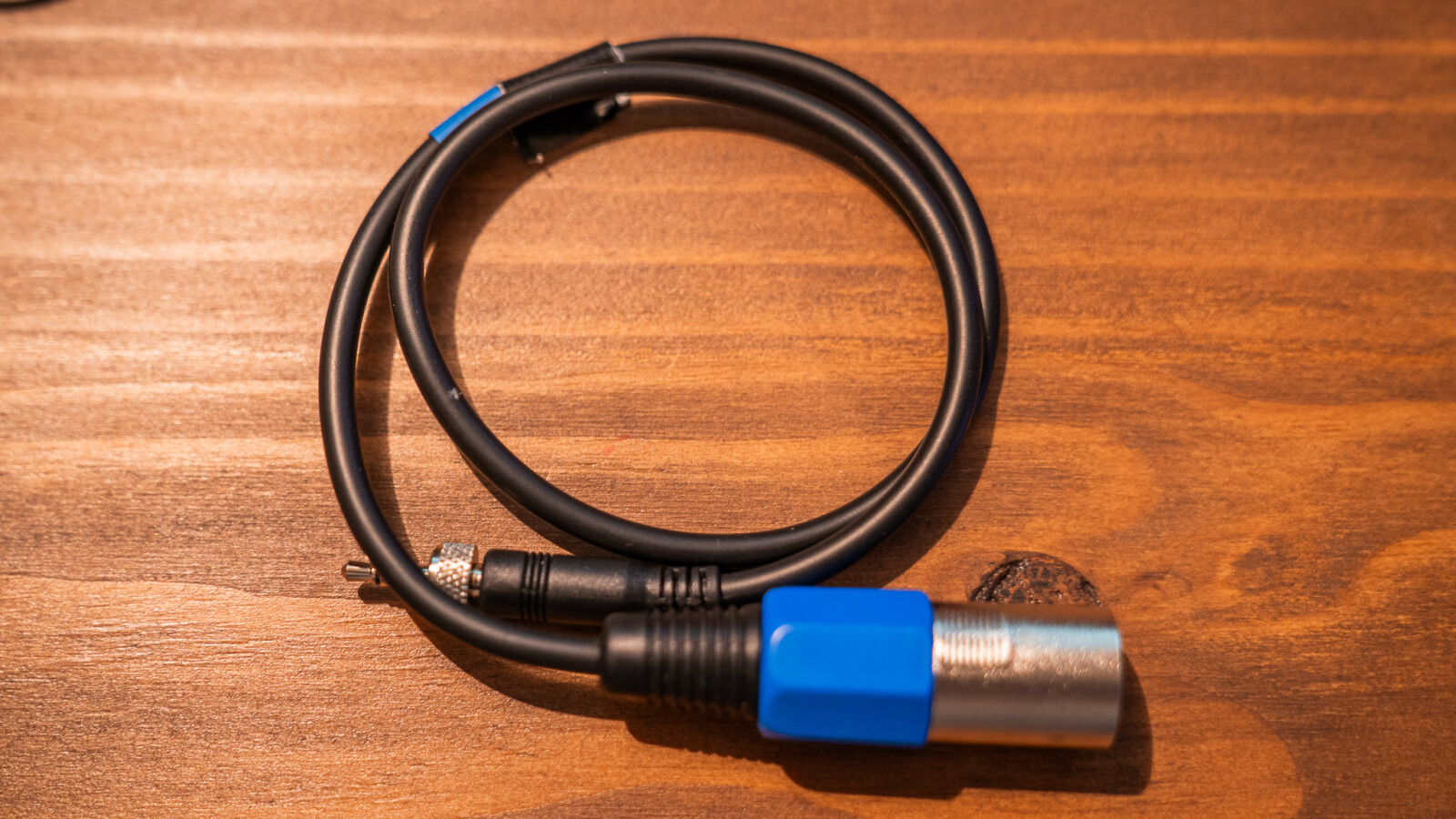 Sennheiser Câble mini Jack / XLR CL-100 - Photo 1 sur 2