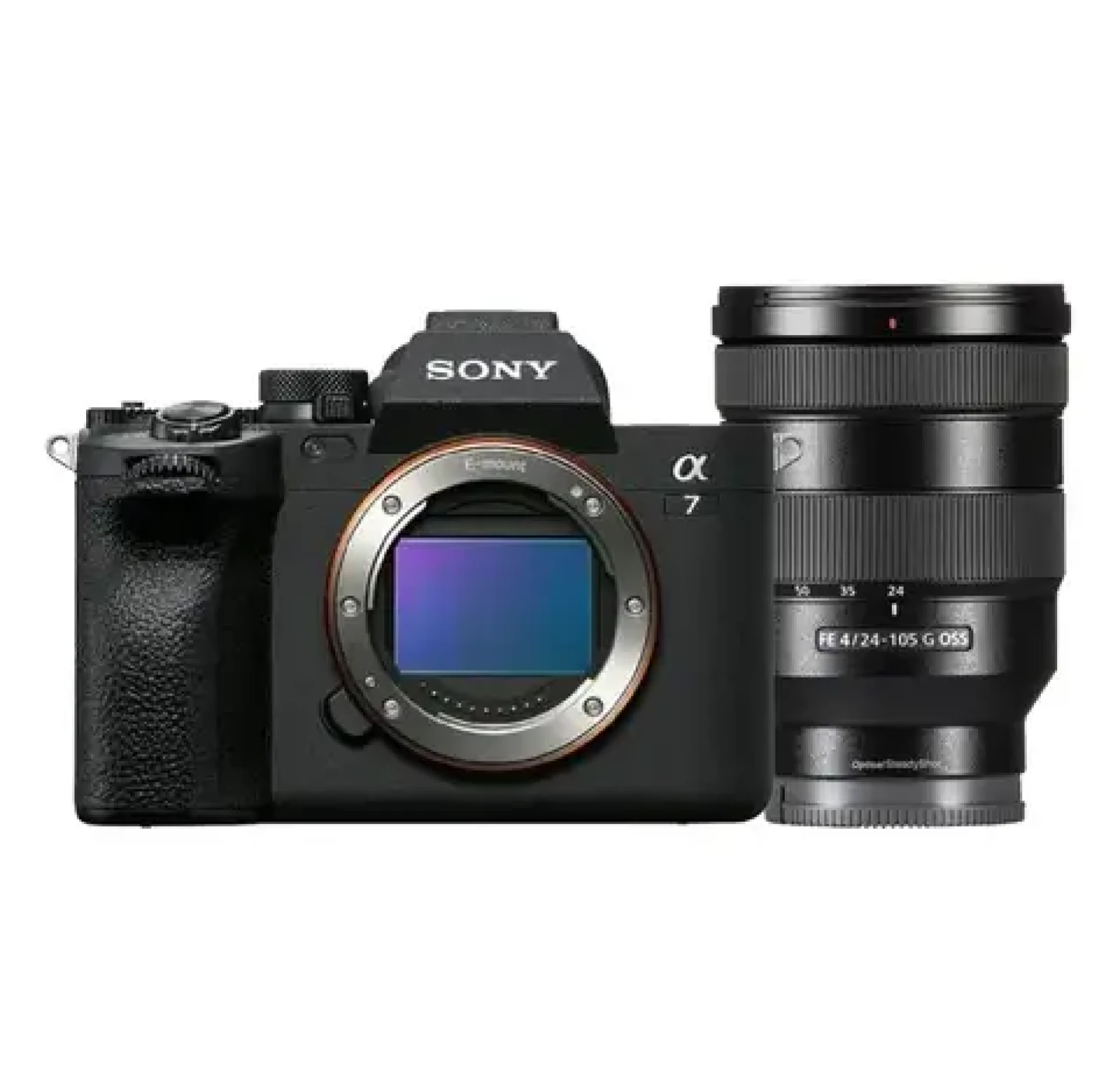 Sony A7 IV 24-105 - Photo 1 sur 1