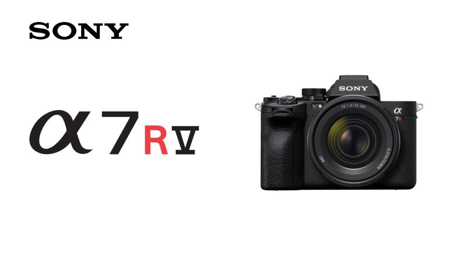 Sony Alpha 7R IV (A7R4) - Photo 1 sur 2