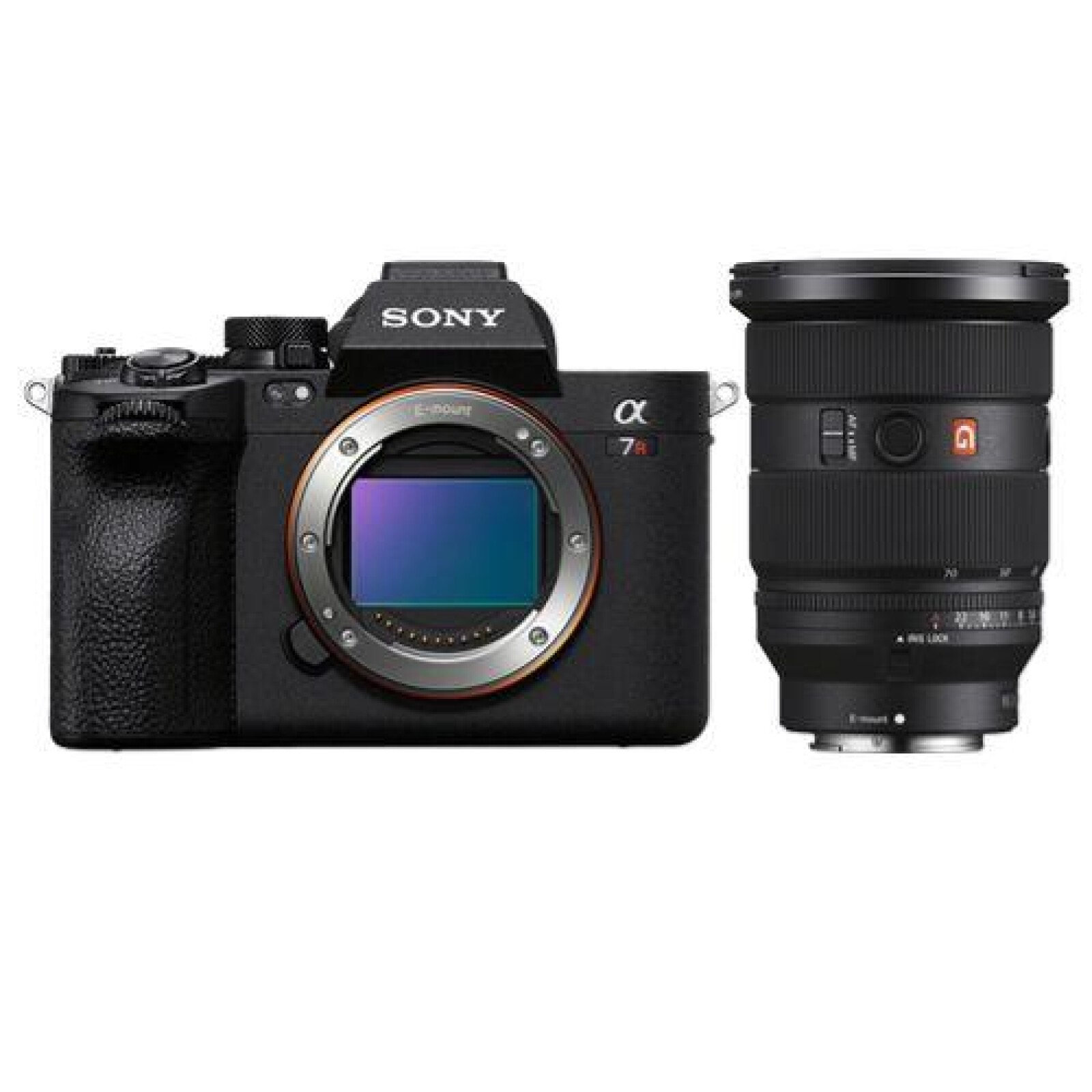 Sony Alpha 7R IV (A7R4) - Photo 2 sur 2