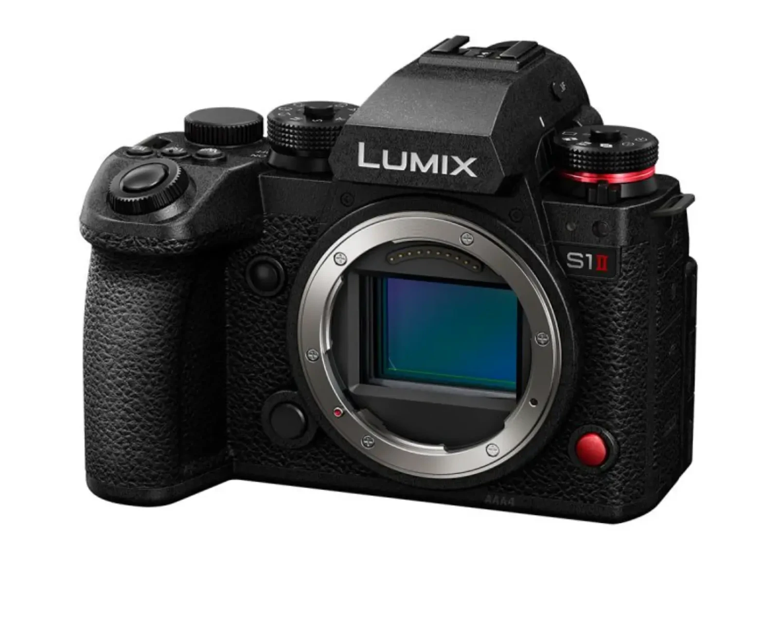 Panasonic S1II - Photo 4 sur 6
