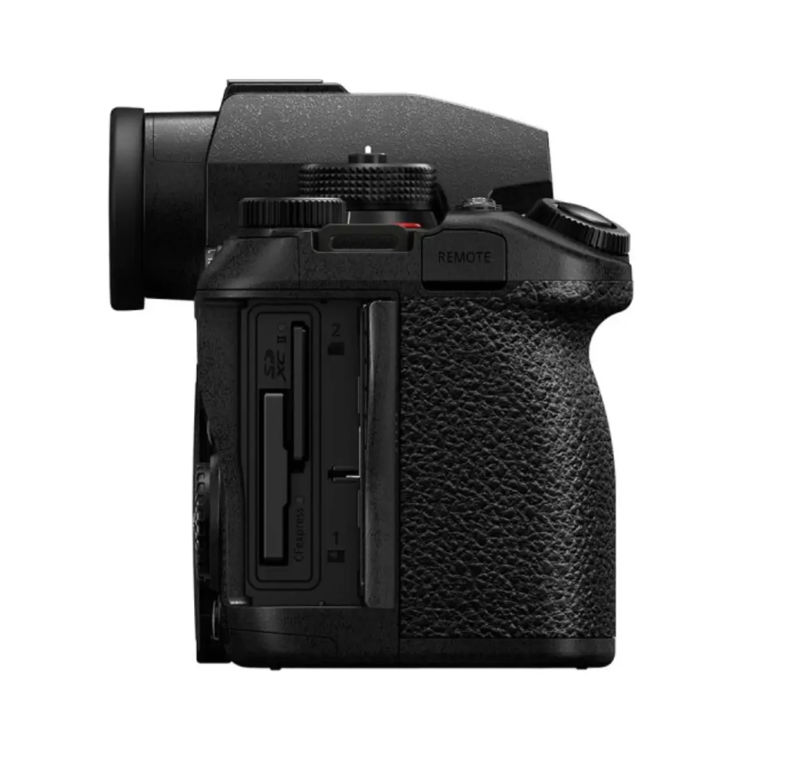 Panasonic S1II - Photo 3 sur 6