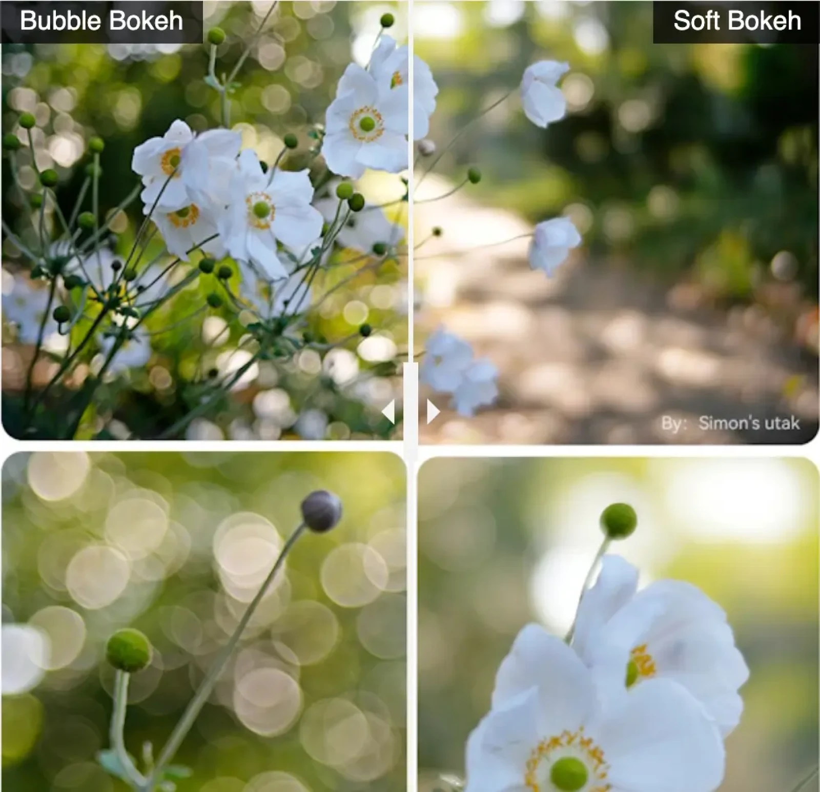 TTartisan 35mm T2.1 Dual Bokeh - Photo 3 sur 3