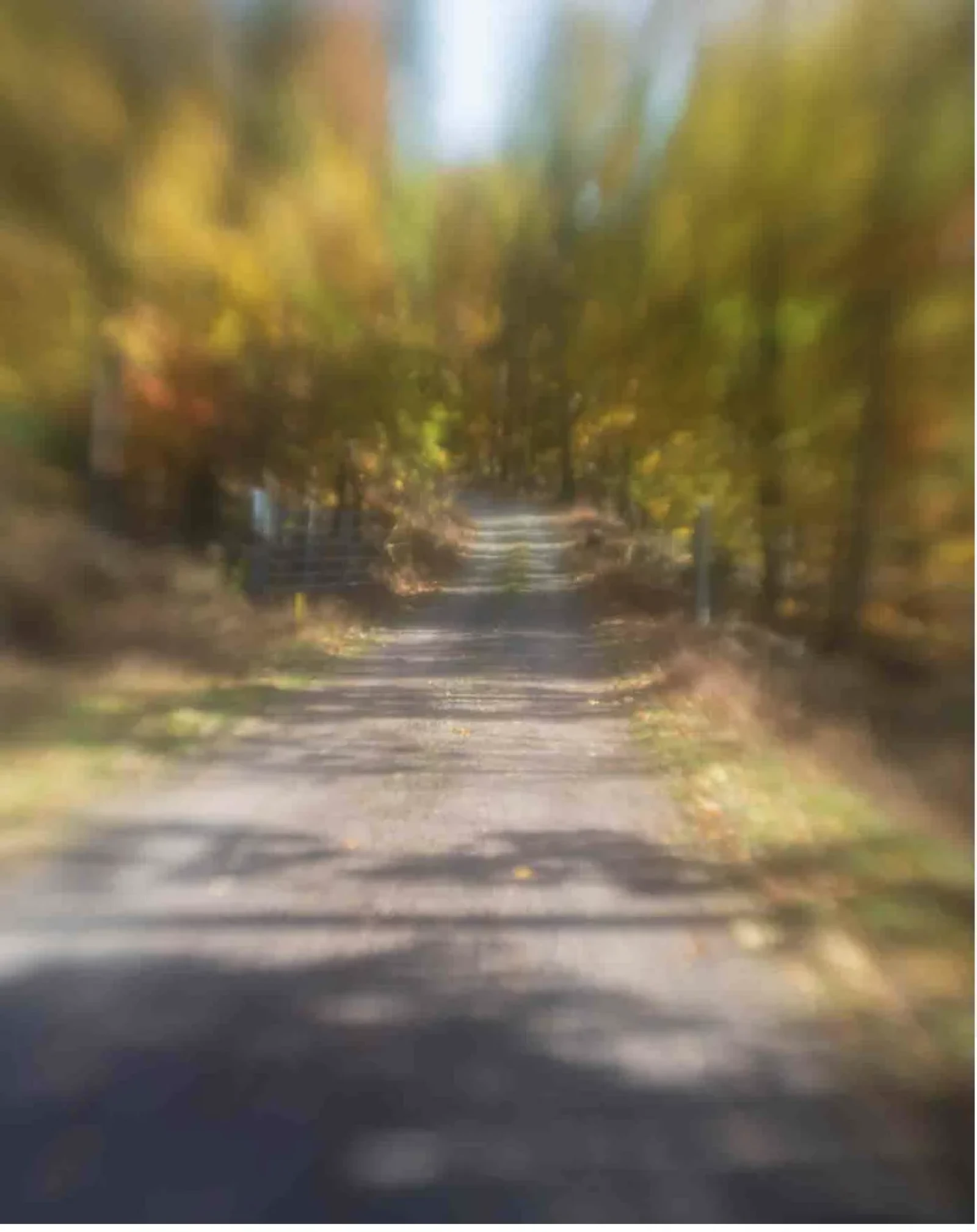 Lensbaby Sweet 22mm f3.5 - Photo 3 sur 4