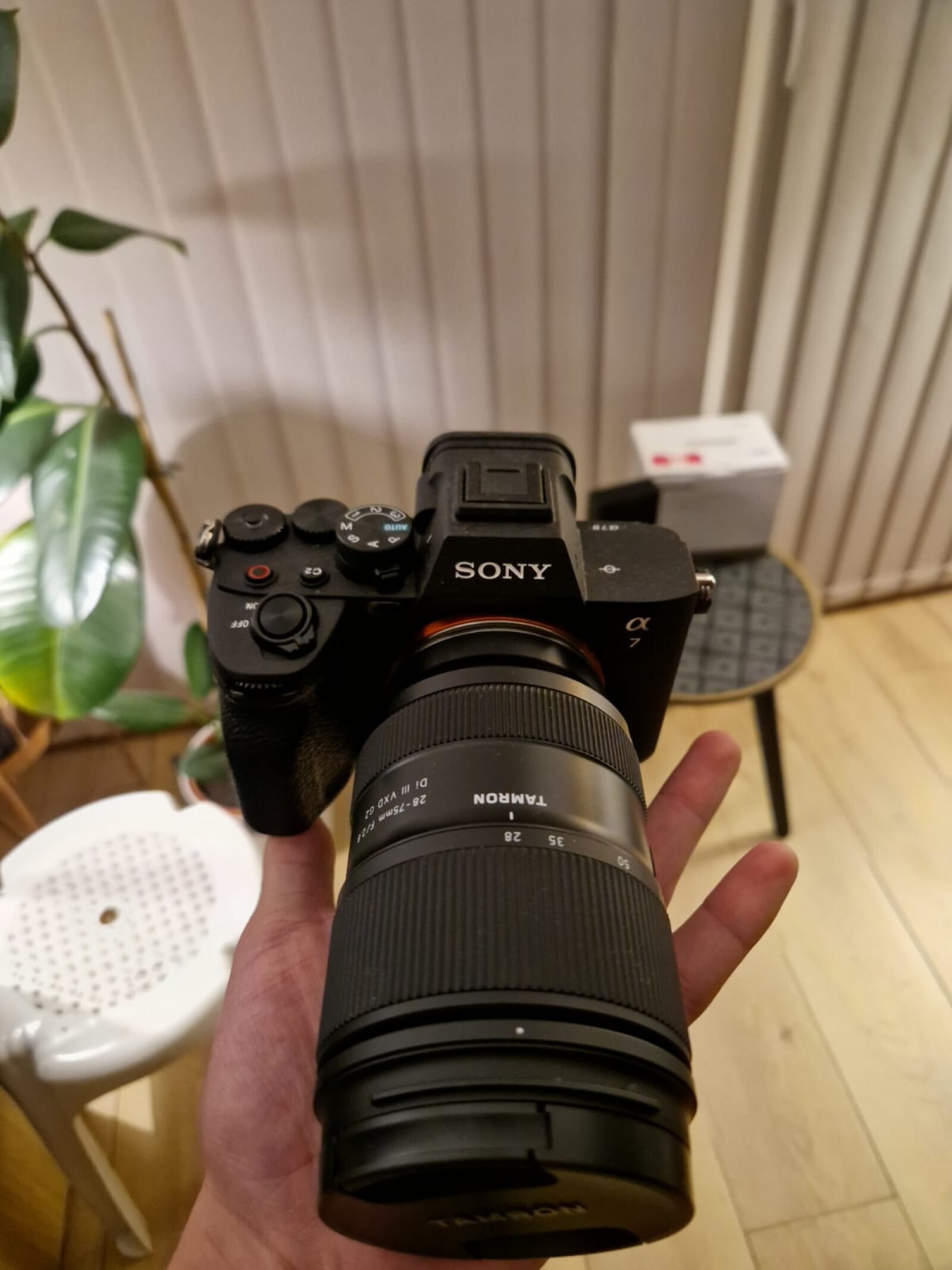 Sony Alpha 7 IV (A74) - Photo 1 sur 3