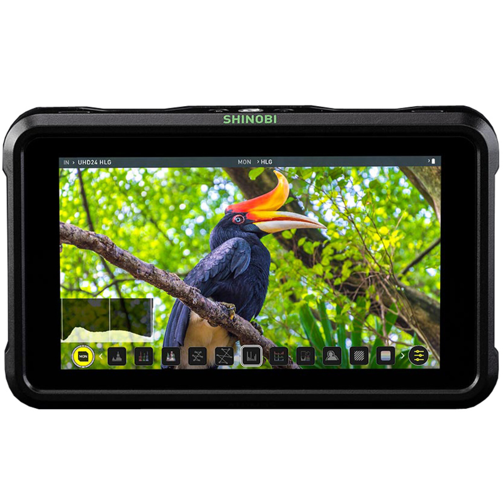 Atomos Shinobi - Photo 2 sur 2